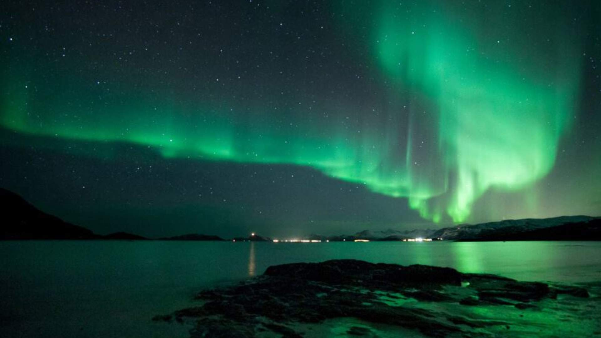 Nordlysjakt med buss