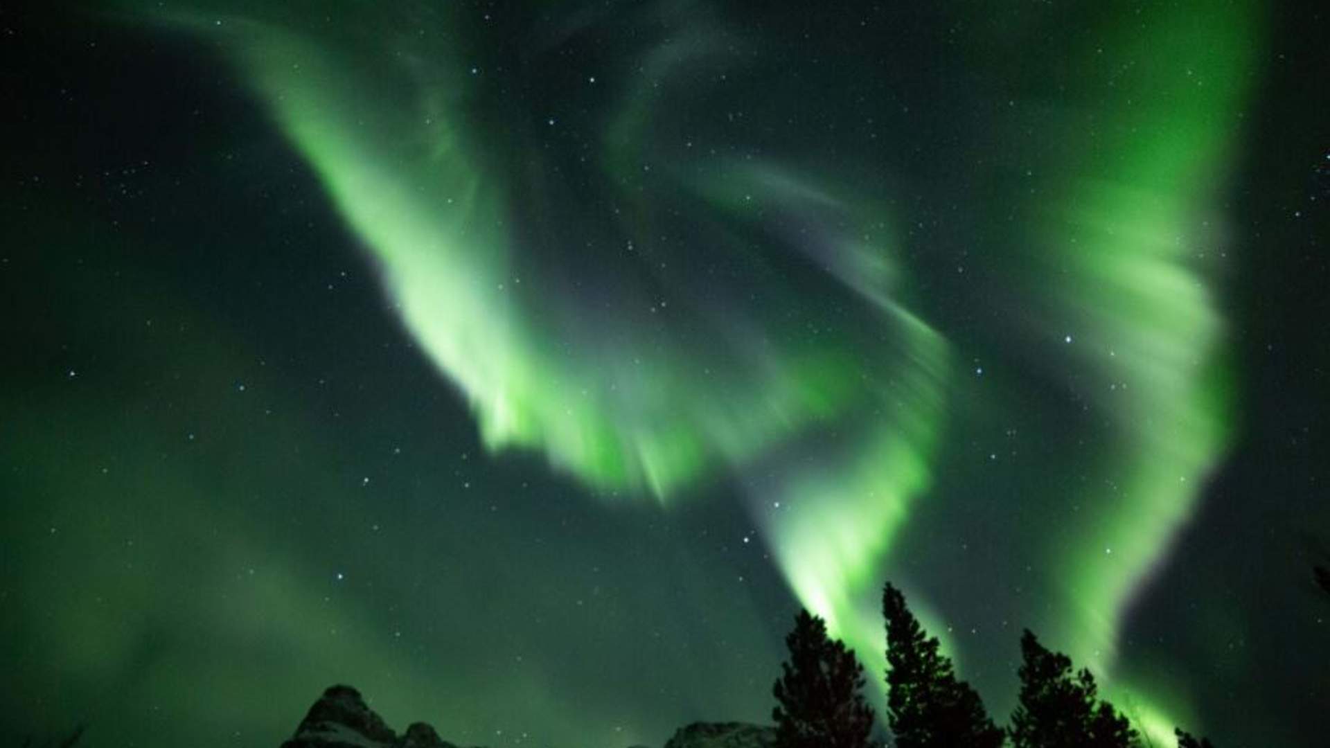 Nordlysjakt med buss