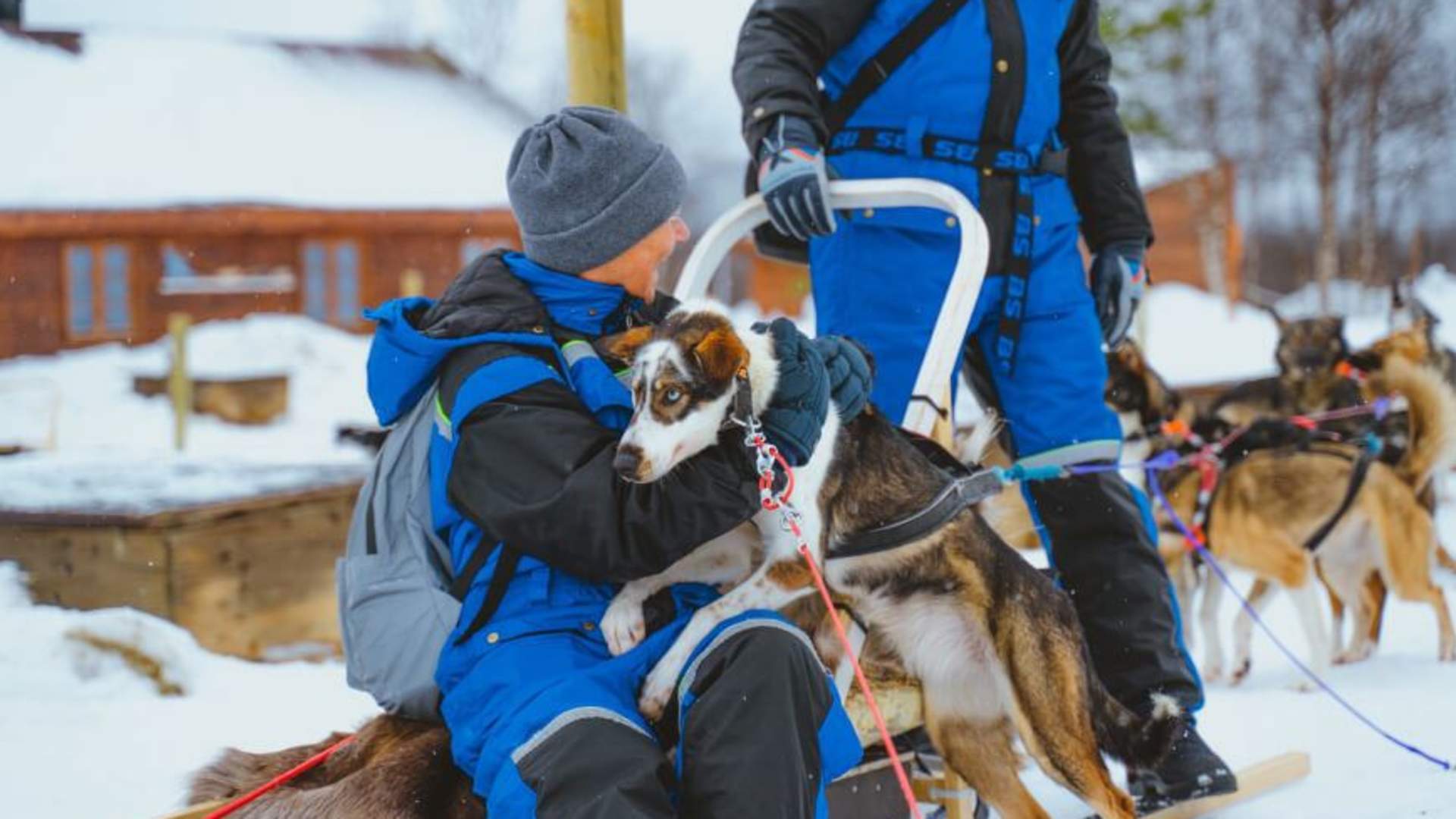 Dog sledding adventure daytime &#8211; Excl. transport