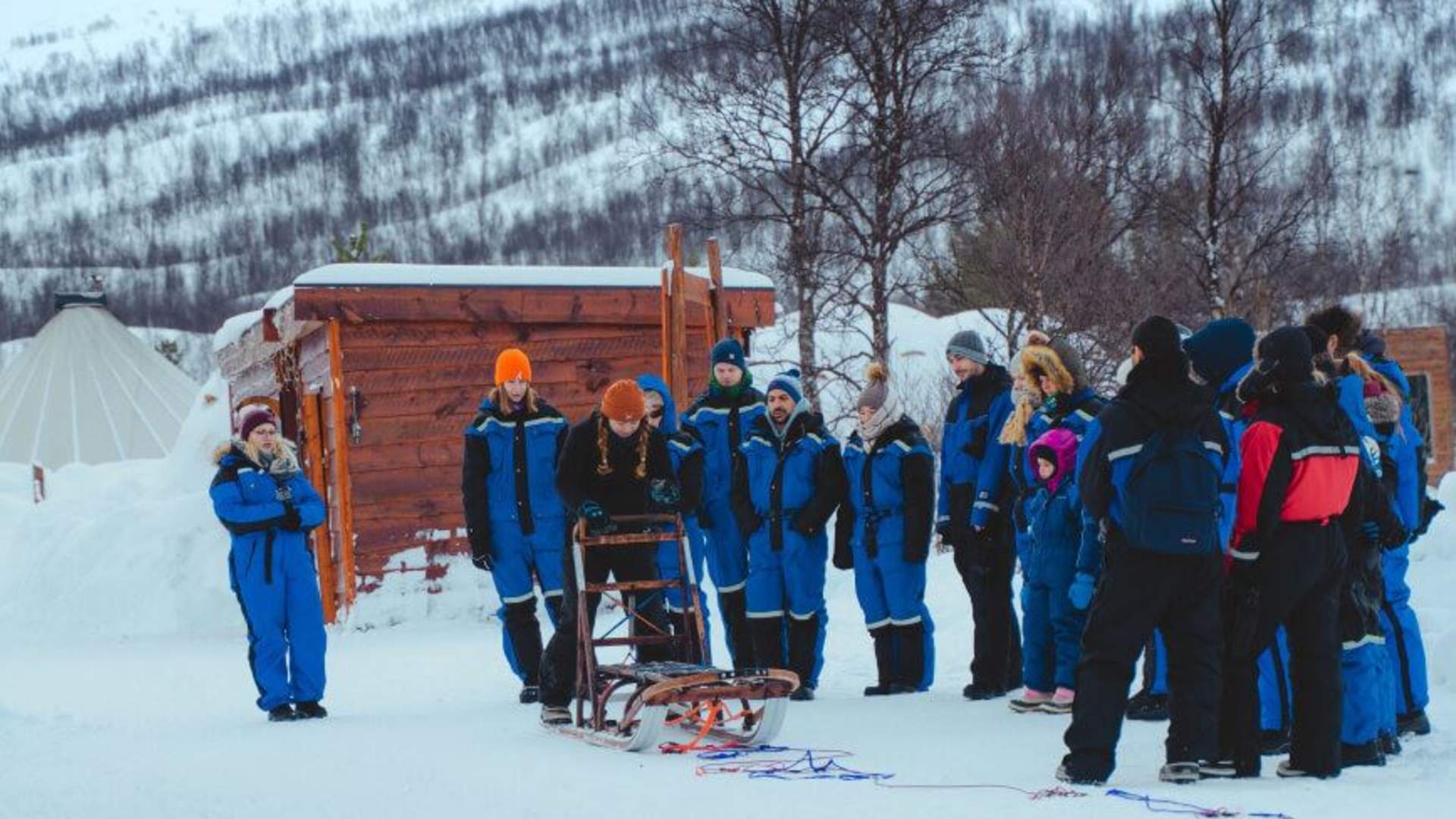 Dog sledding adventure daytime &#8211; Excl. transport