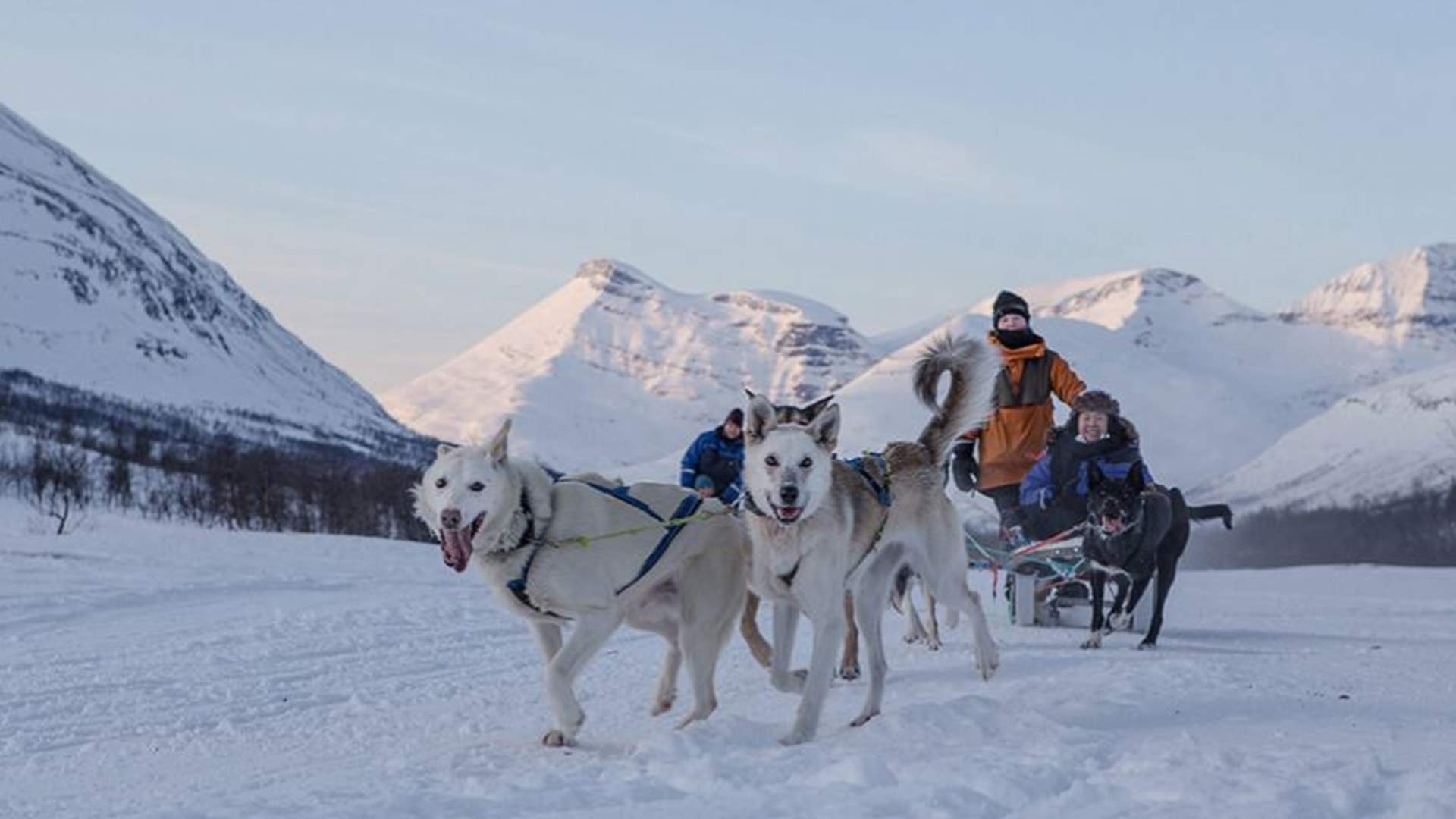Dog sledding adventure daytime &#8211; Excl. transport