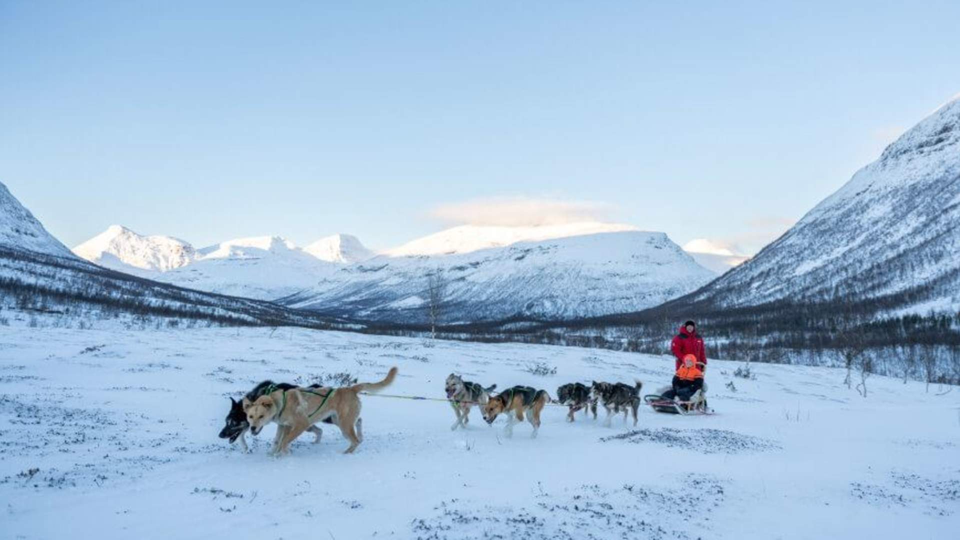 Dog sledding adventure daytime &#8211; Excl. transport