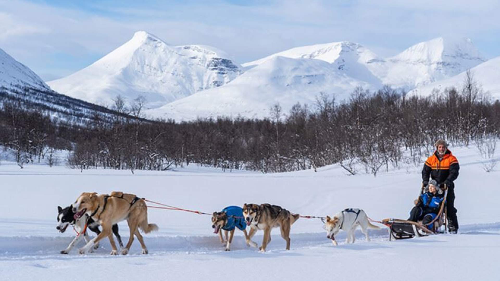 Dog sledding adventure daytime &#8211; Excl. transport