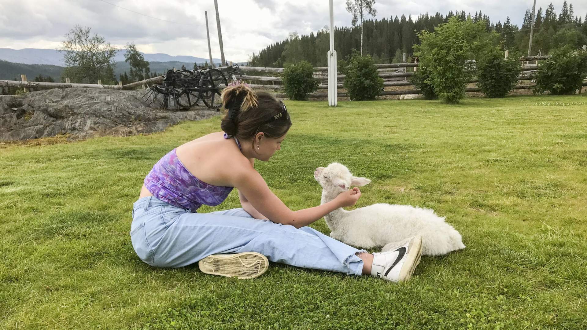 Løyle Gård - Besøksgård med alpakka, hester, hunder og geiter