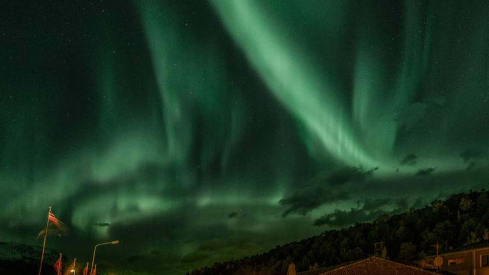 Exclusive hunting for the Northern lights with the SamiCamp team (including feeding the reindeers)