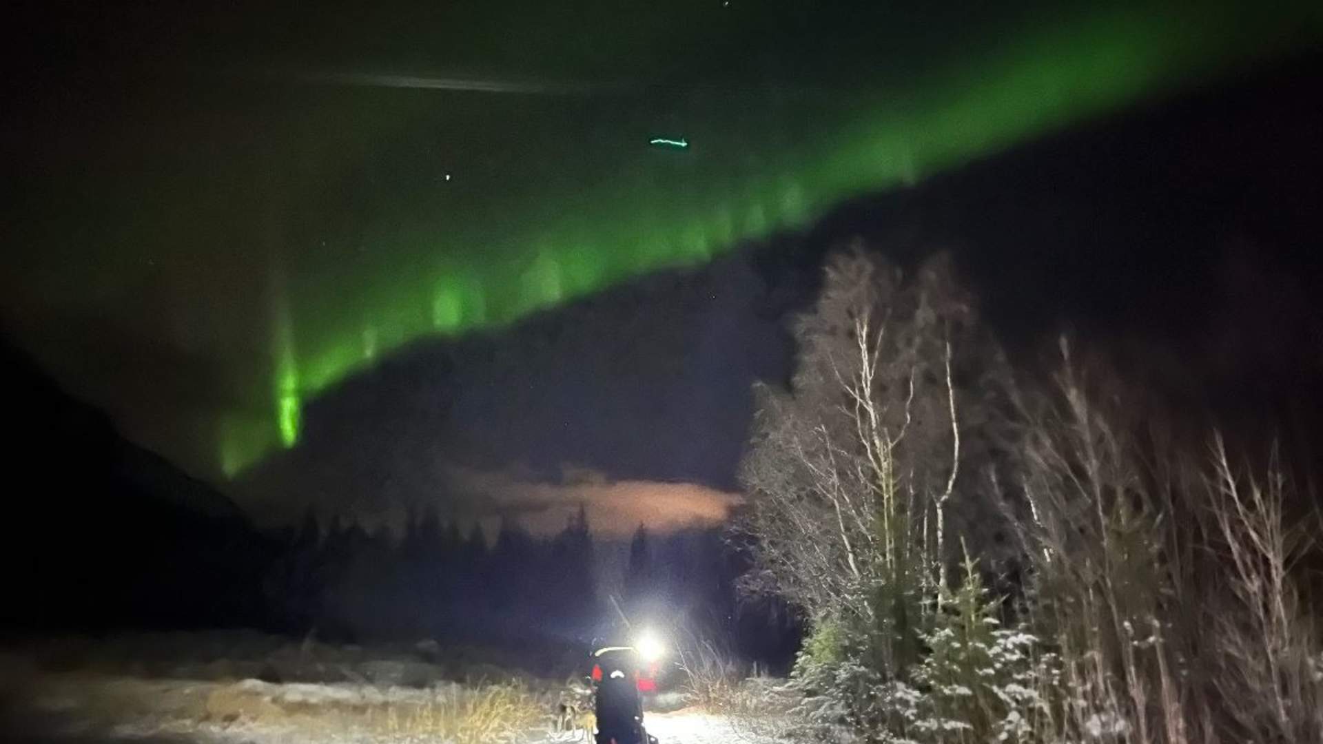 Hundekjøring i vakre Skibotndalen kveldstur