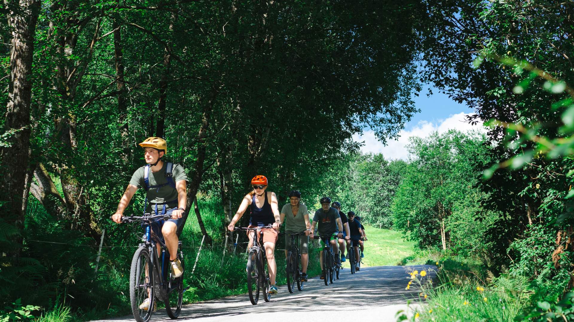 Guided e-bike tour in Olden | Nordic nature guide