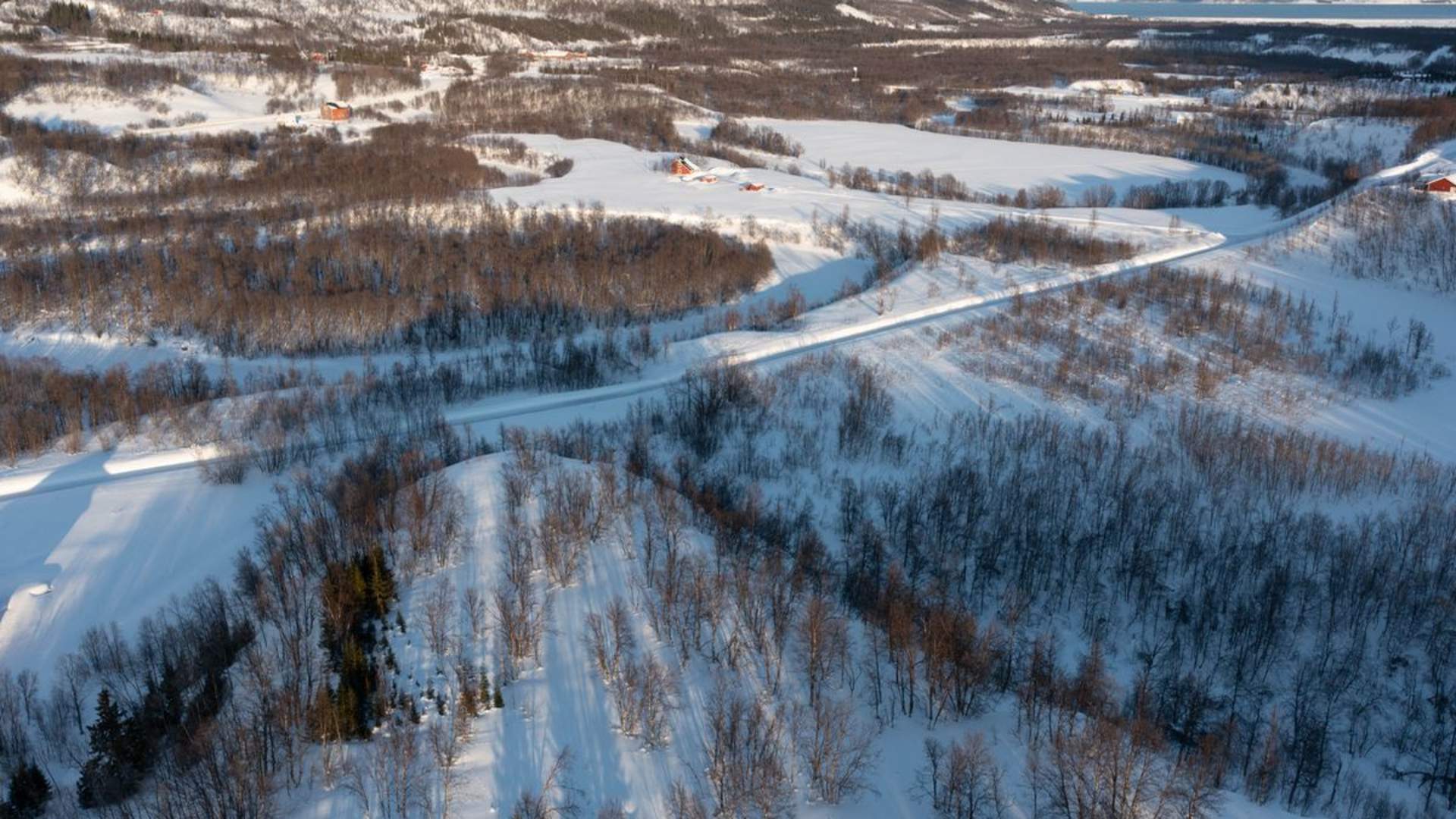 Introduction to Cross-Country Skiing - Early Bird