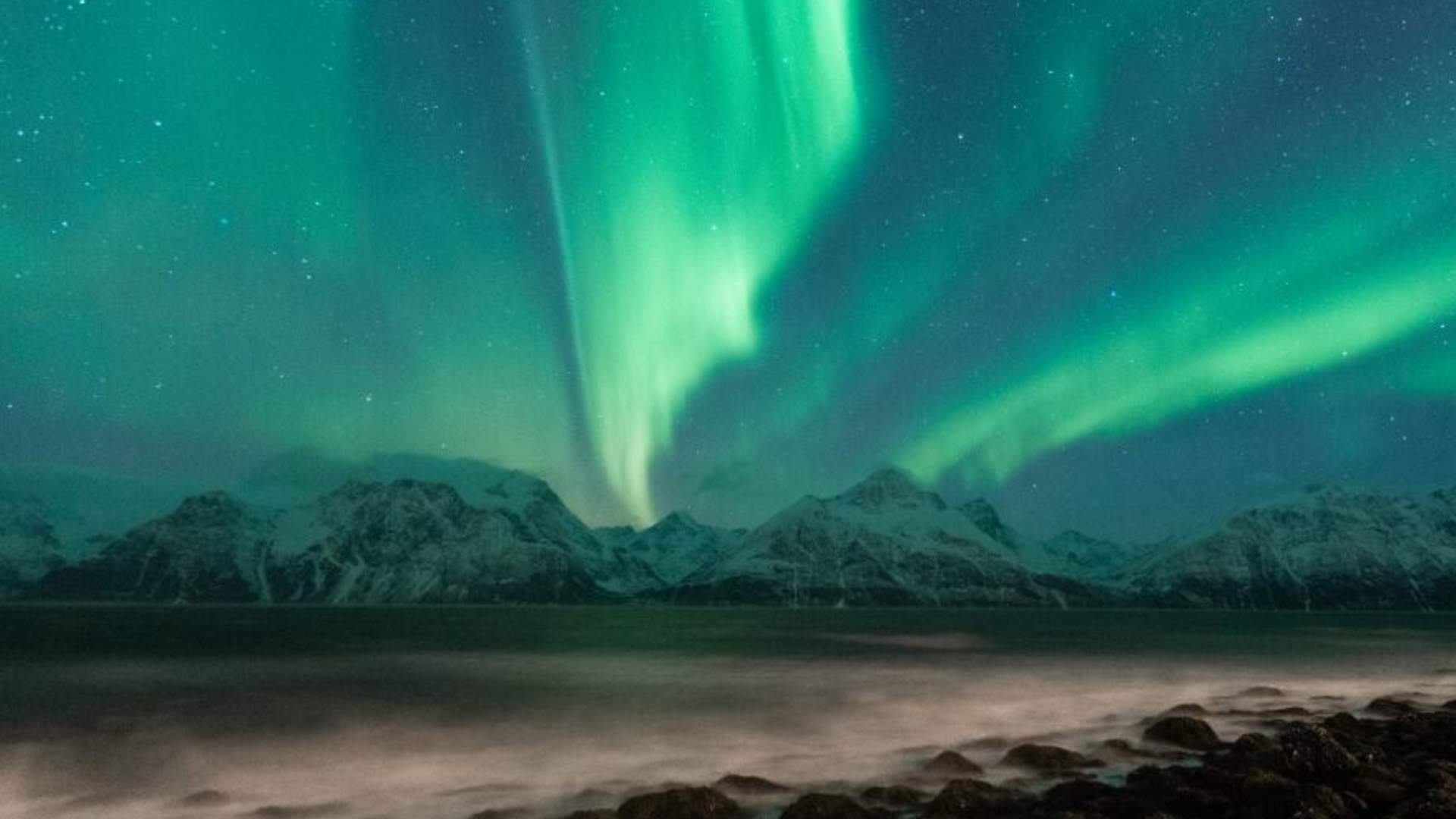 Northern Lights Big Bus Chase with Free Photos