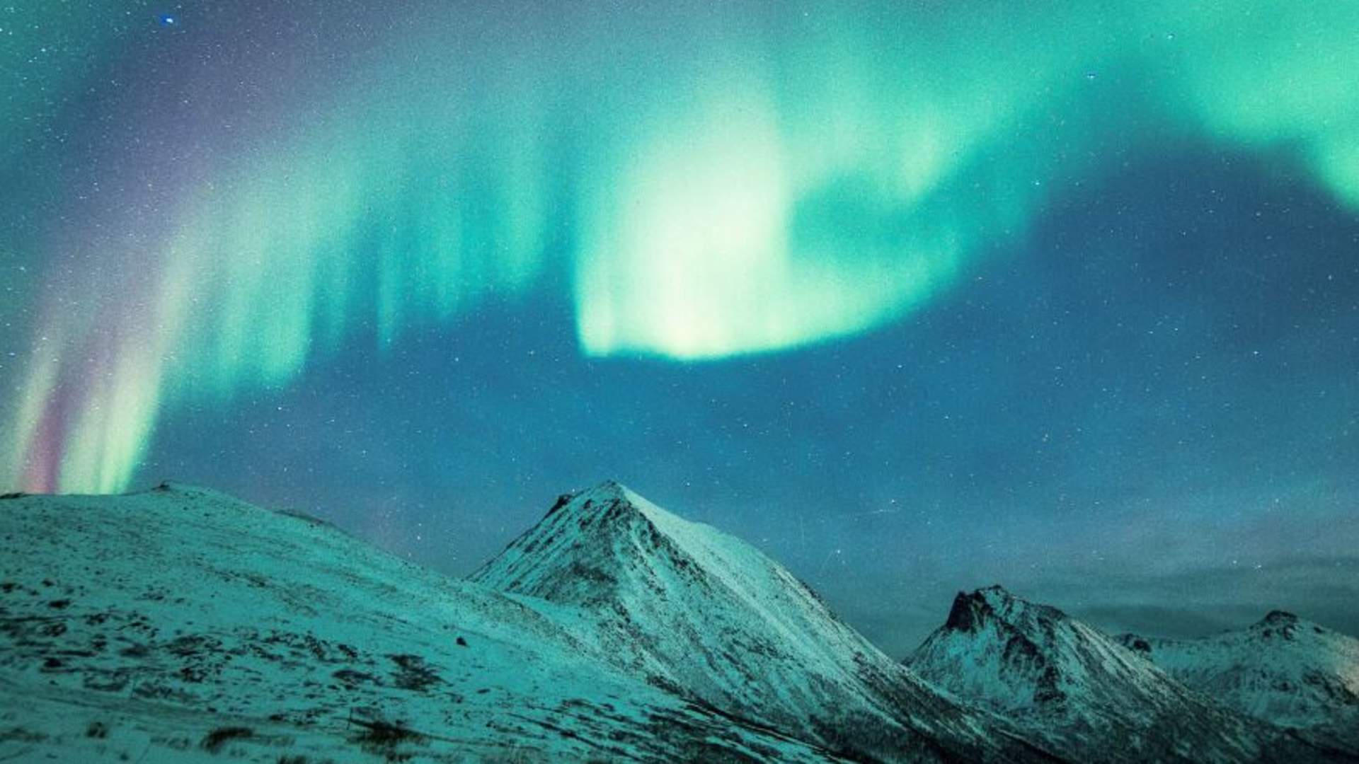 Northern Lights Big Bus Chase with Free Photos