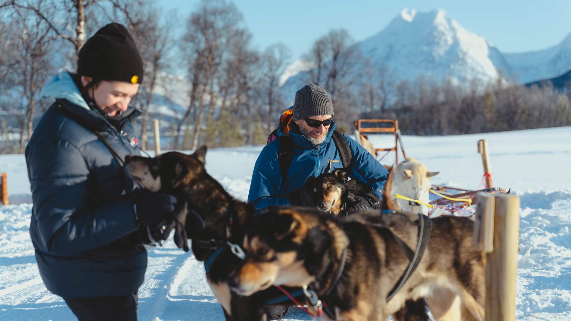 Husky Experience & Dog Sled Driving - Early Bird Tour