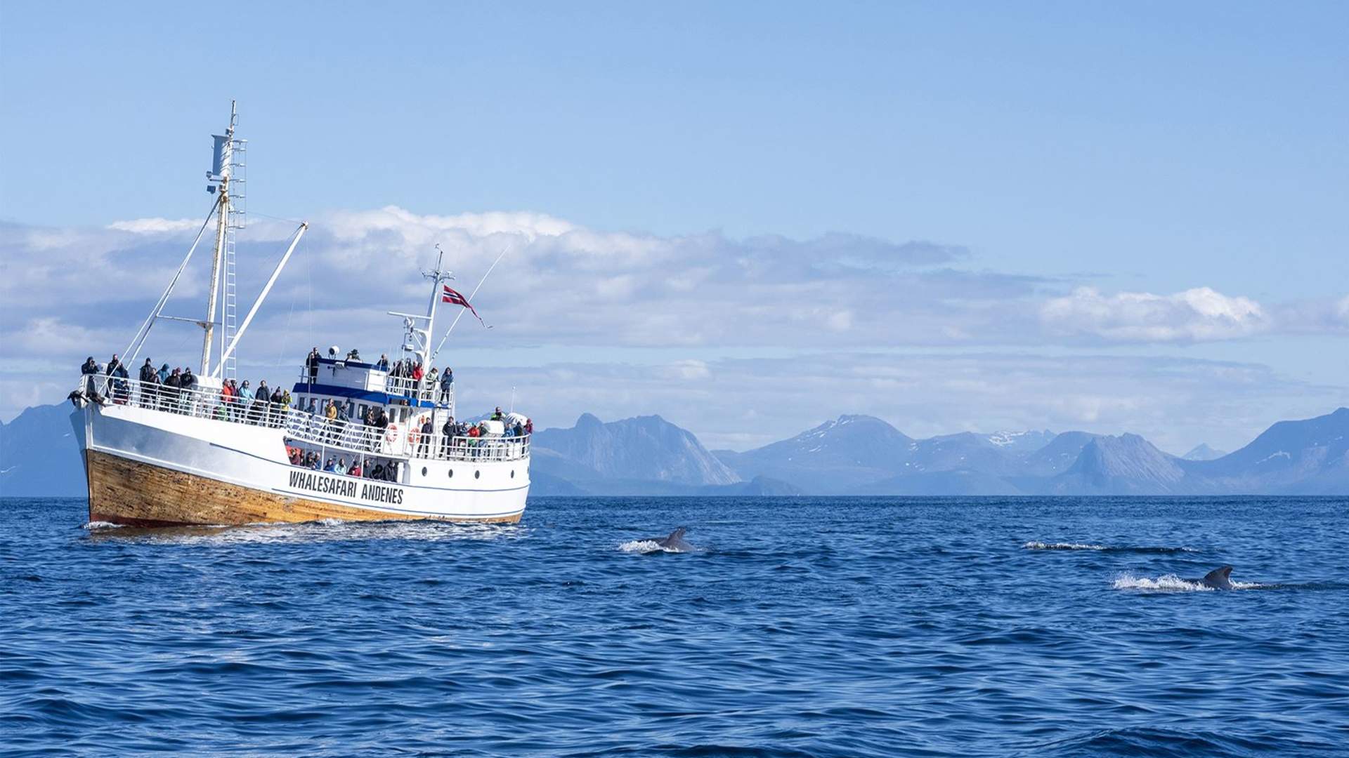 Hvalsafari med stor tradisjonell båt – Whale2Sea Whalesafari