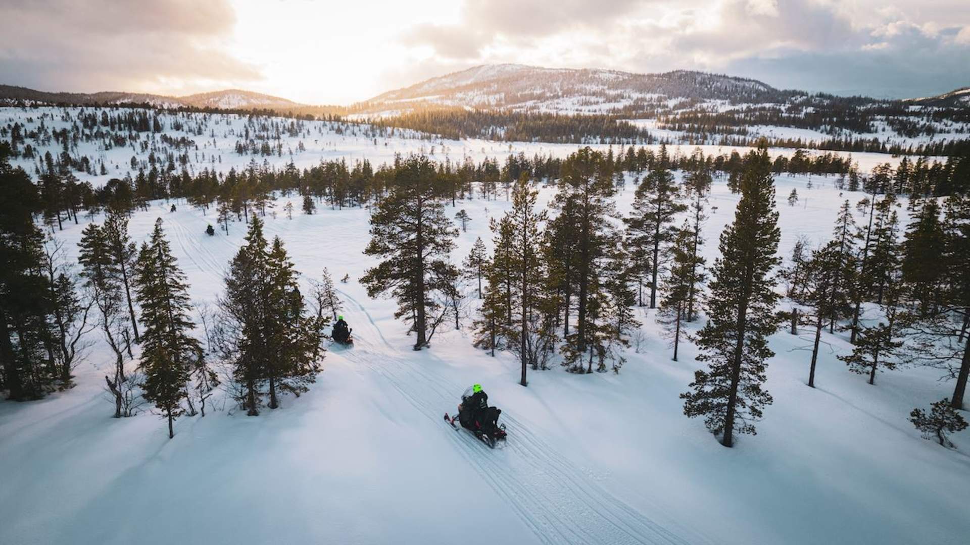 Guidet snøscootersafari og nordlysjakt