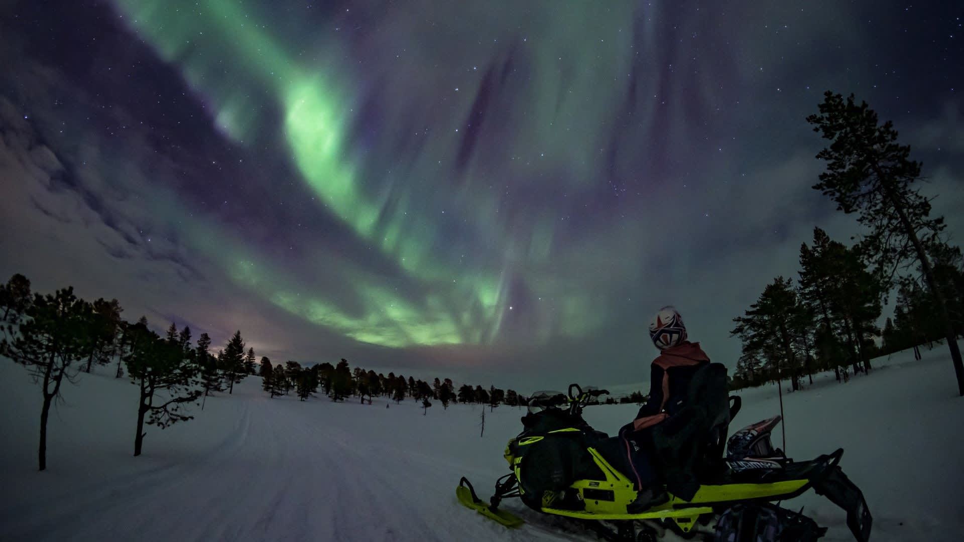 Guidet snøscootersafari og nordlysjakt