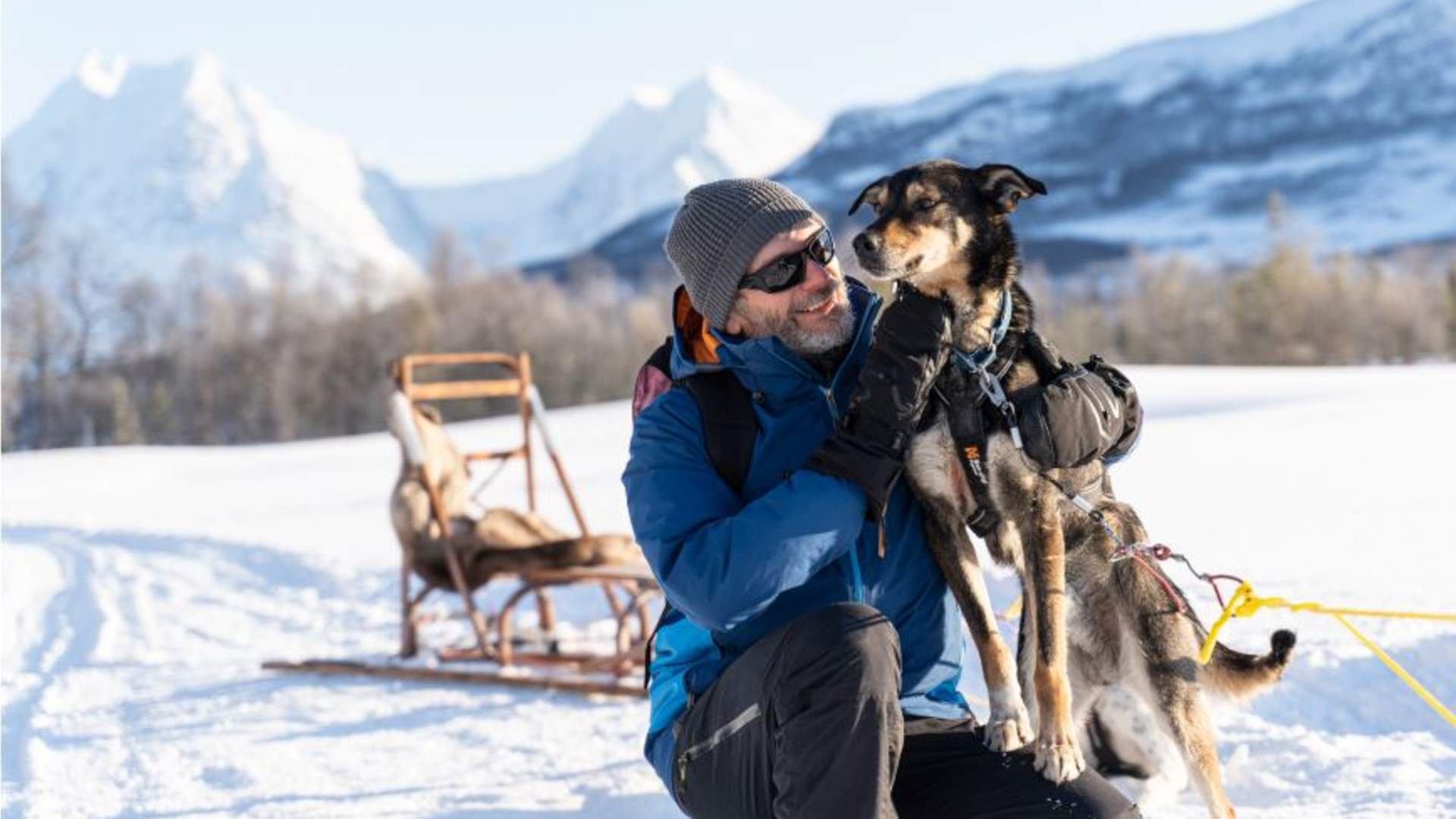 Morsom & lett hundekjøring - Early Bird tur