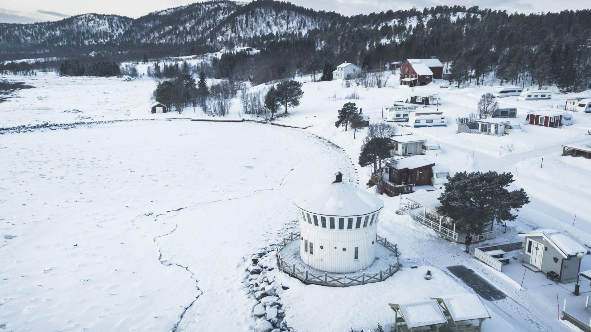 Norwegian Wild