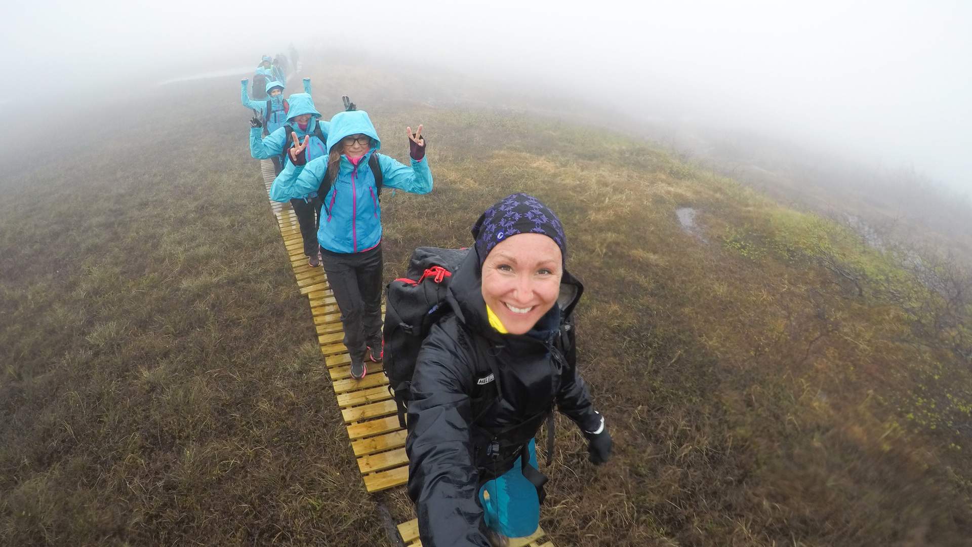 Norwegian Wild