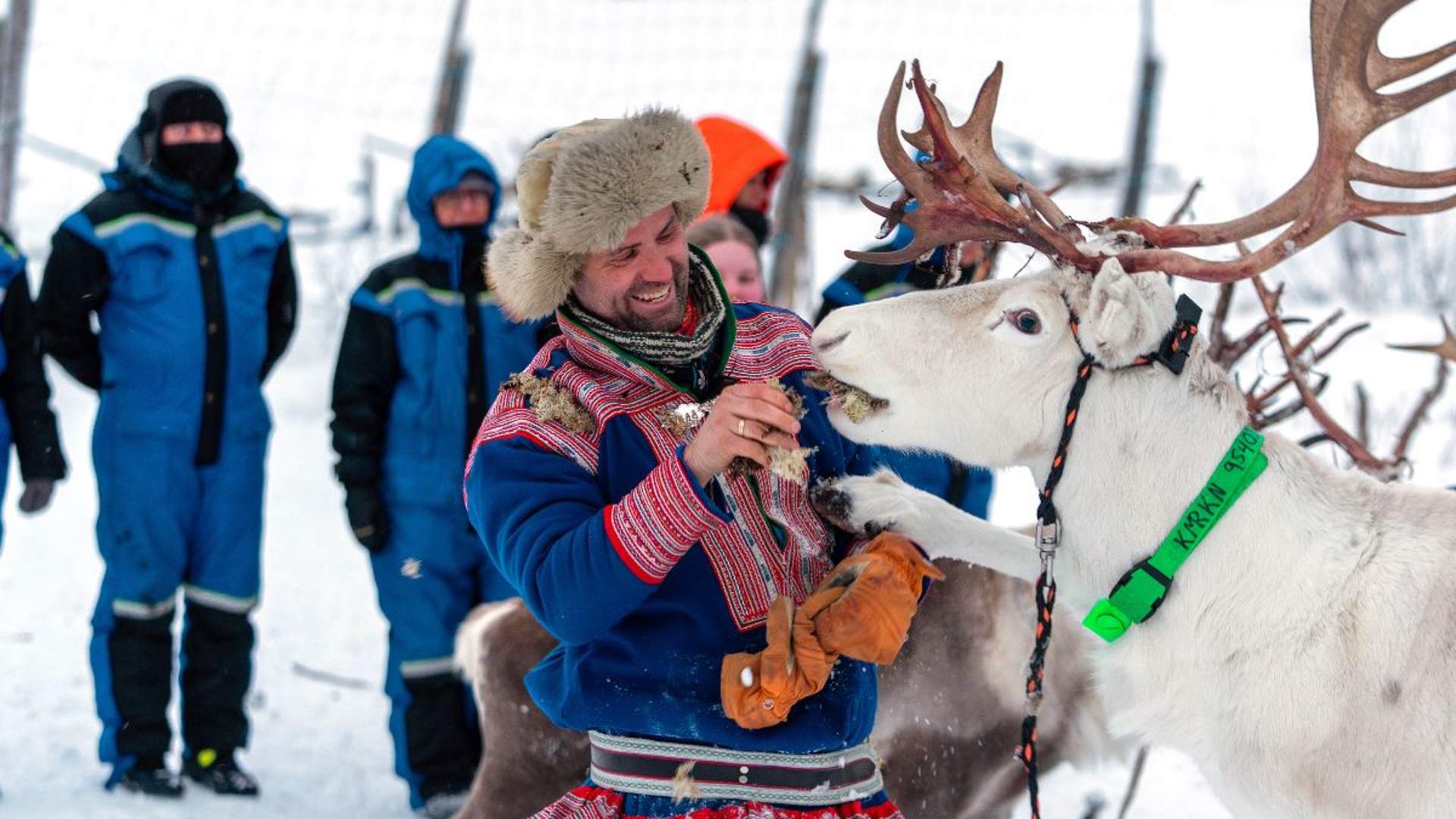 Reindeer Sledding & Tromsø Ice Domes Snow Park Visit - Excluding Transport