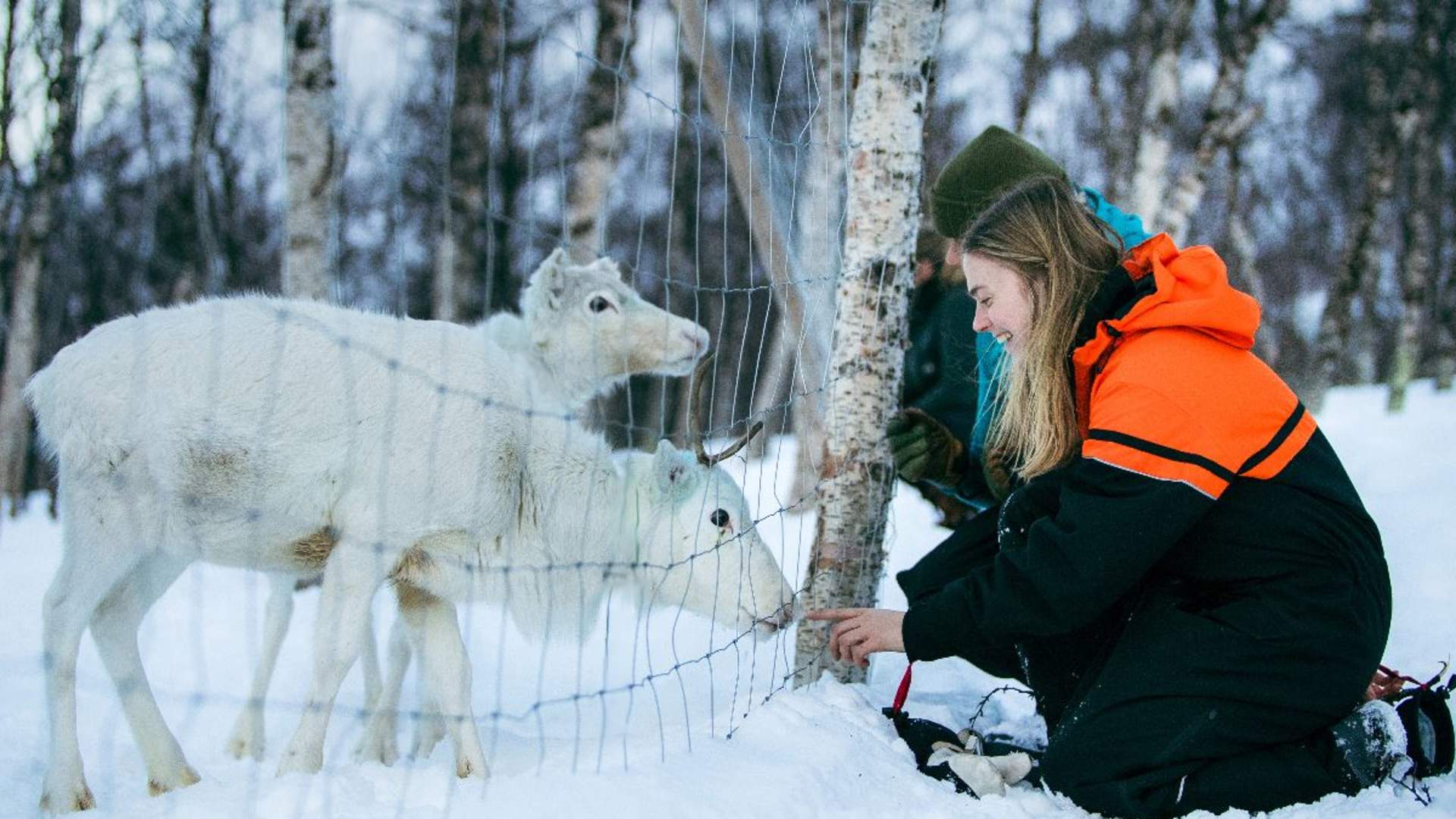 Snowshoeing & Tromsø Ice Domes Snow Park - Excluding Transport