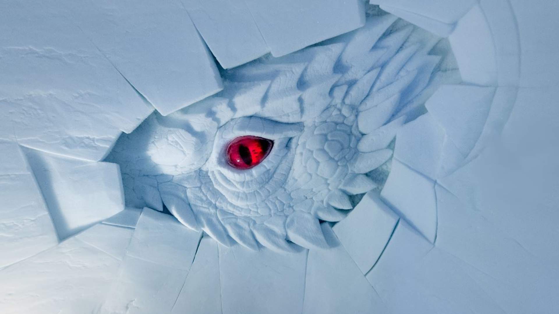 Snowshoeing & Tromsø Ice Domes Snow Park - Excluding Transport