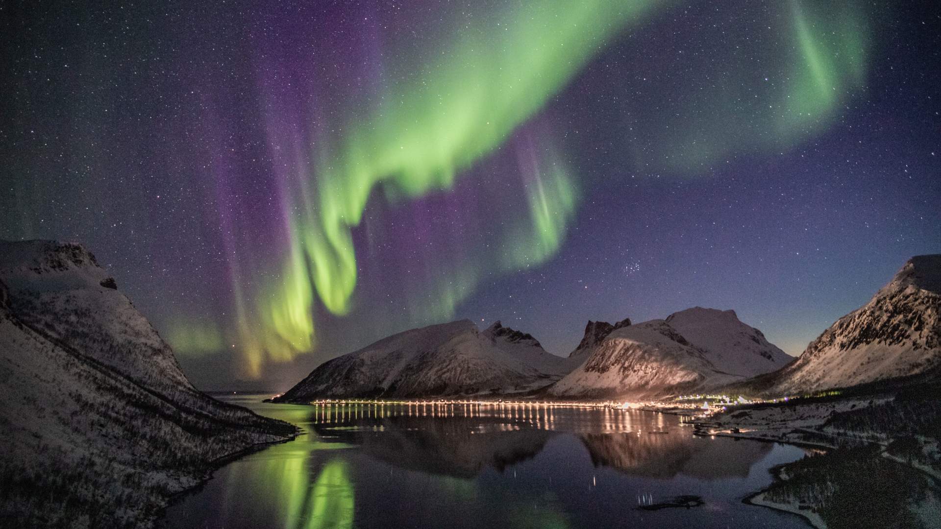 Transport of groups with Senja Tours