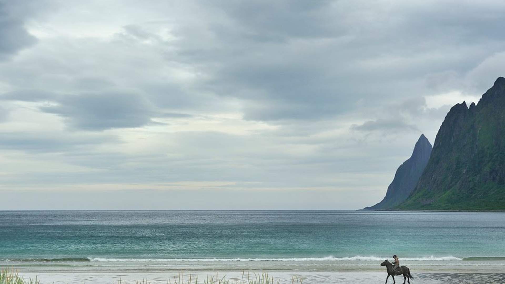 Transport of groups with Senja Tours