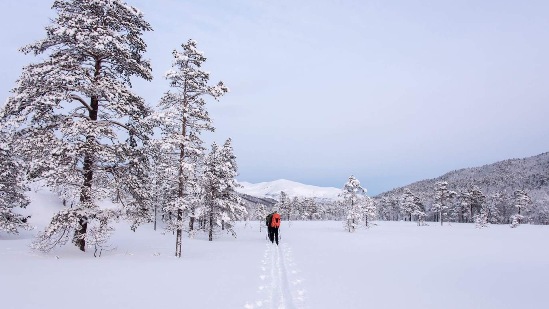 Skitur i Ånderdalen