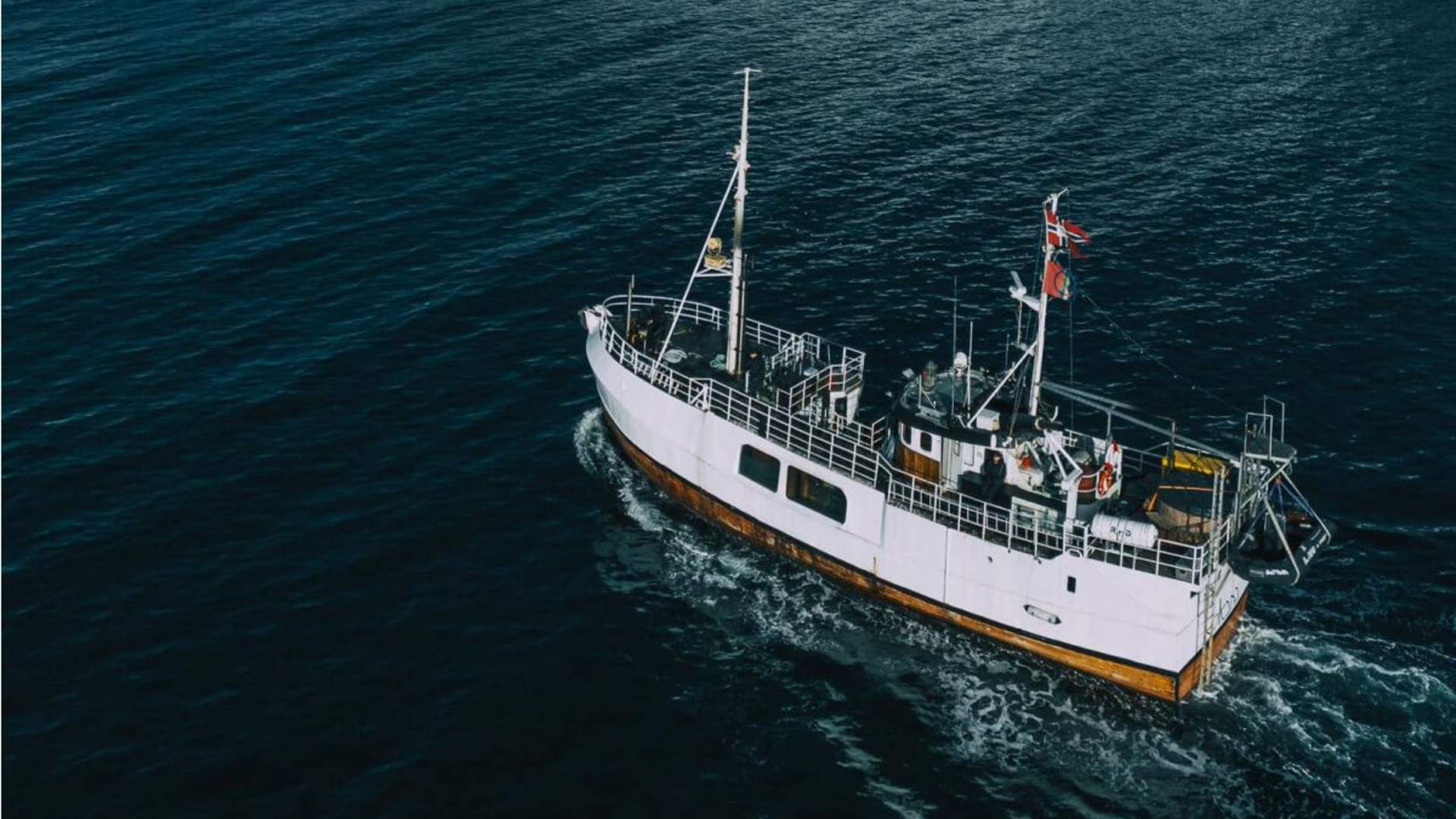 Fjord Sightseeing & Spa Cruise