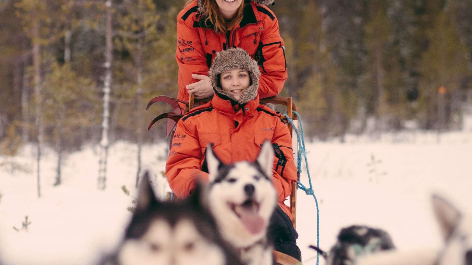 A taste of dog sledding -Trasti og Trine