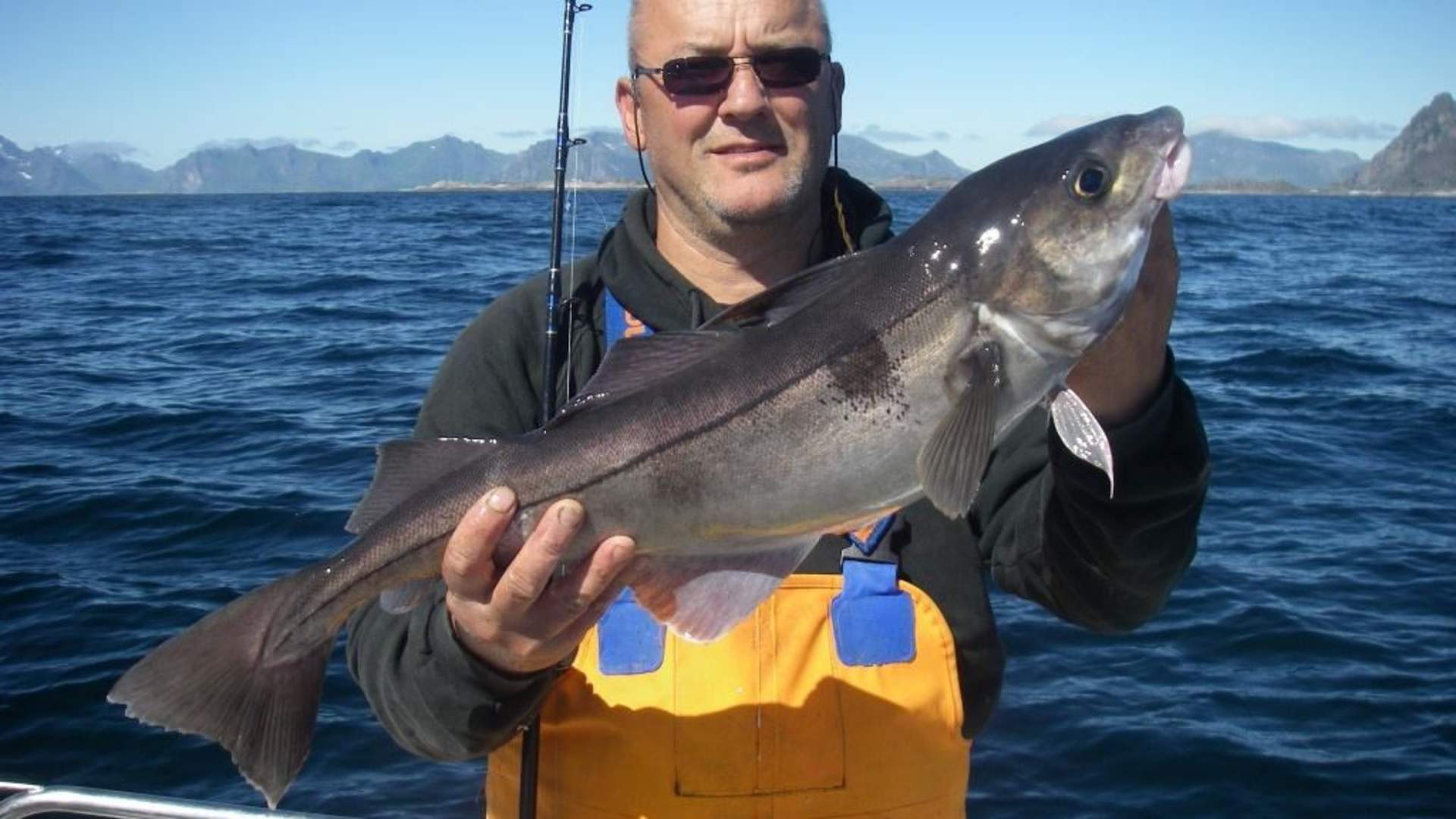 3kg haddock - web.jpg