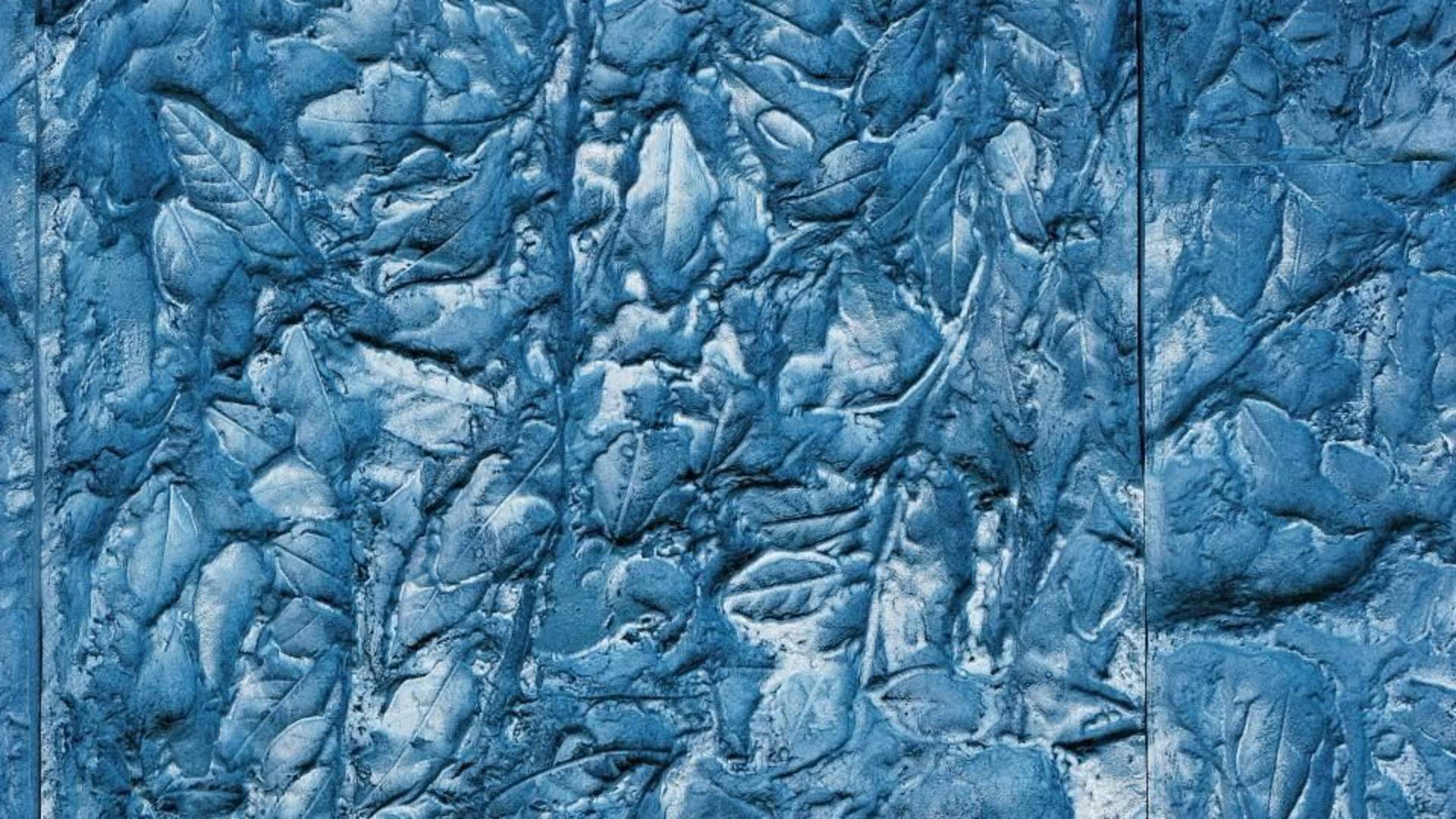 Moskenes detalj - web.jpg