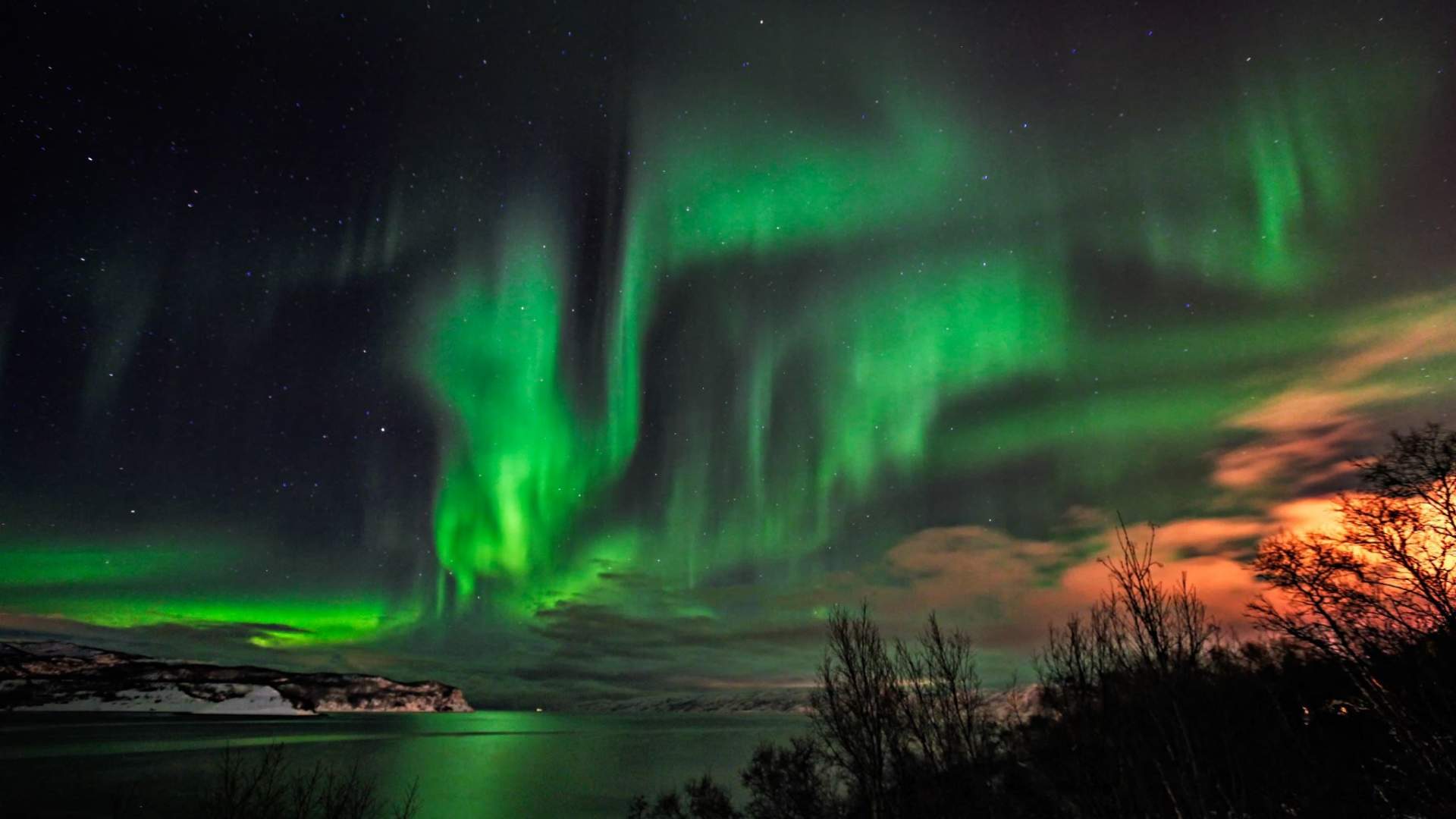 Aurora Dinner