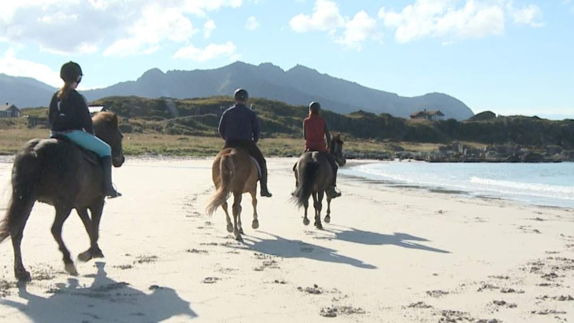 Lofoten by Horse