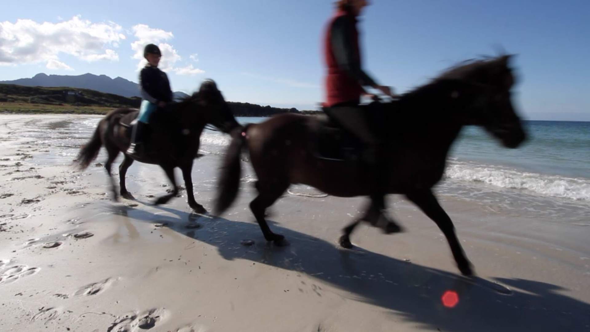 Lofoten by Horse