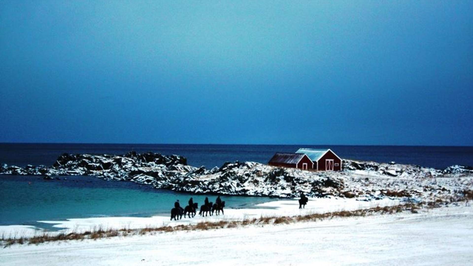 Lofoten by Horse