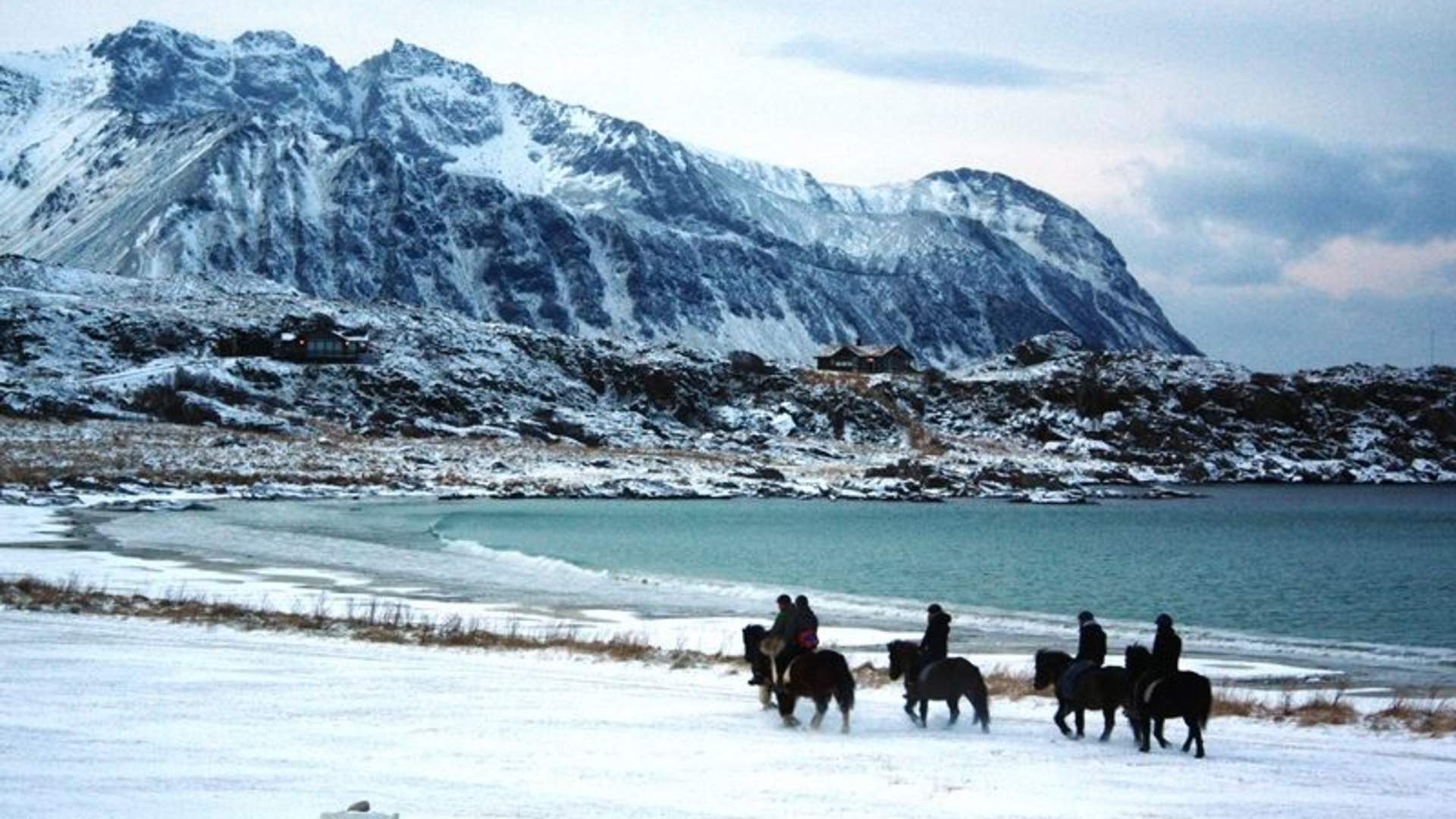 Lofoten by Horse