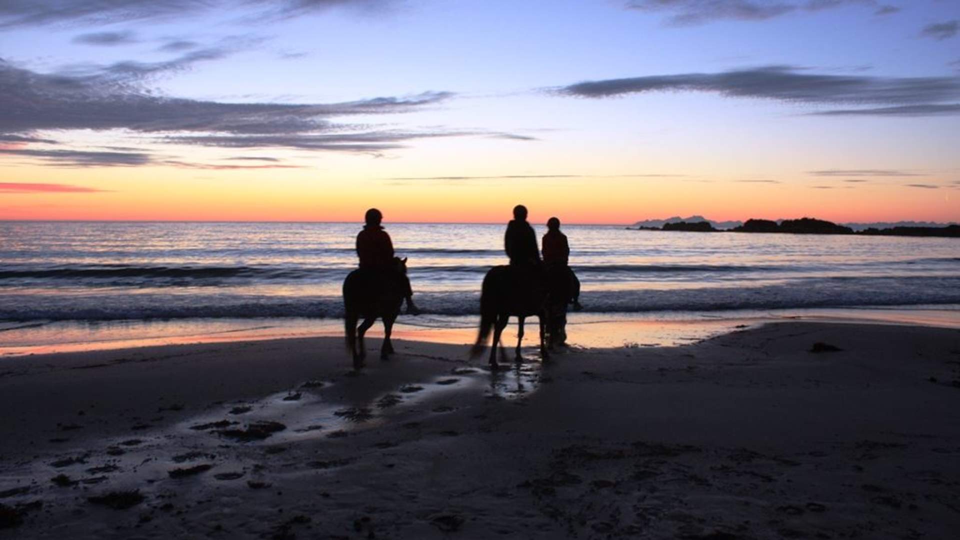 Horseback riding under the Midnight Sun in Lofoten (copy)