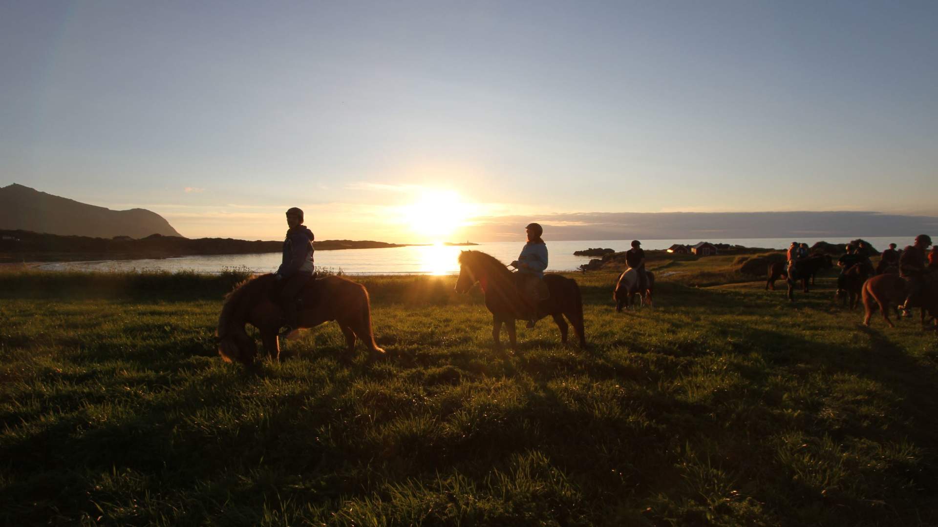 Lofoten by Horse
