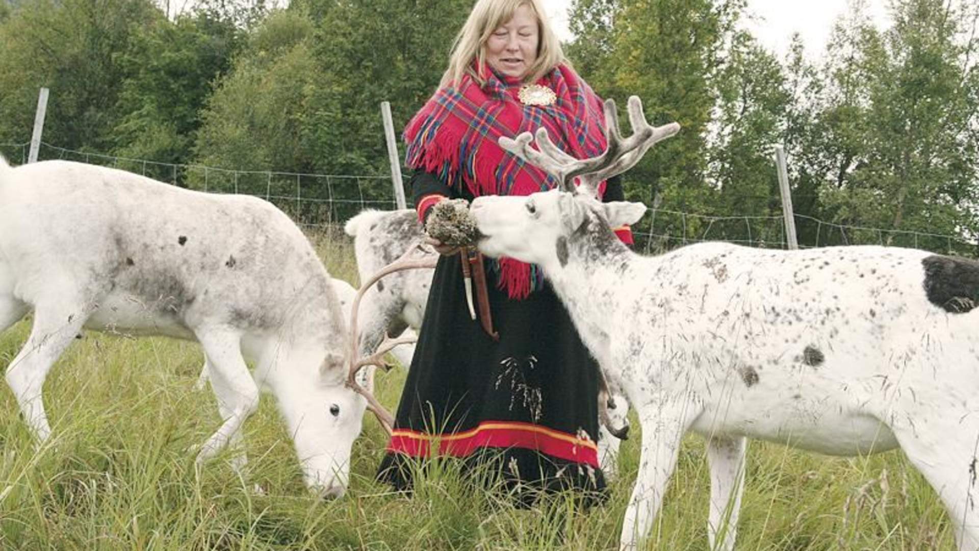 inga sami siida1.jpeg