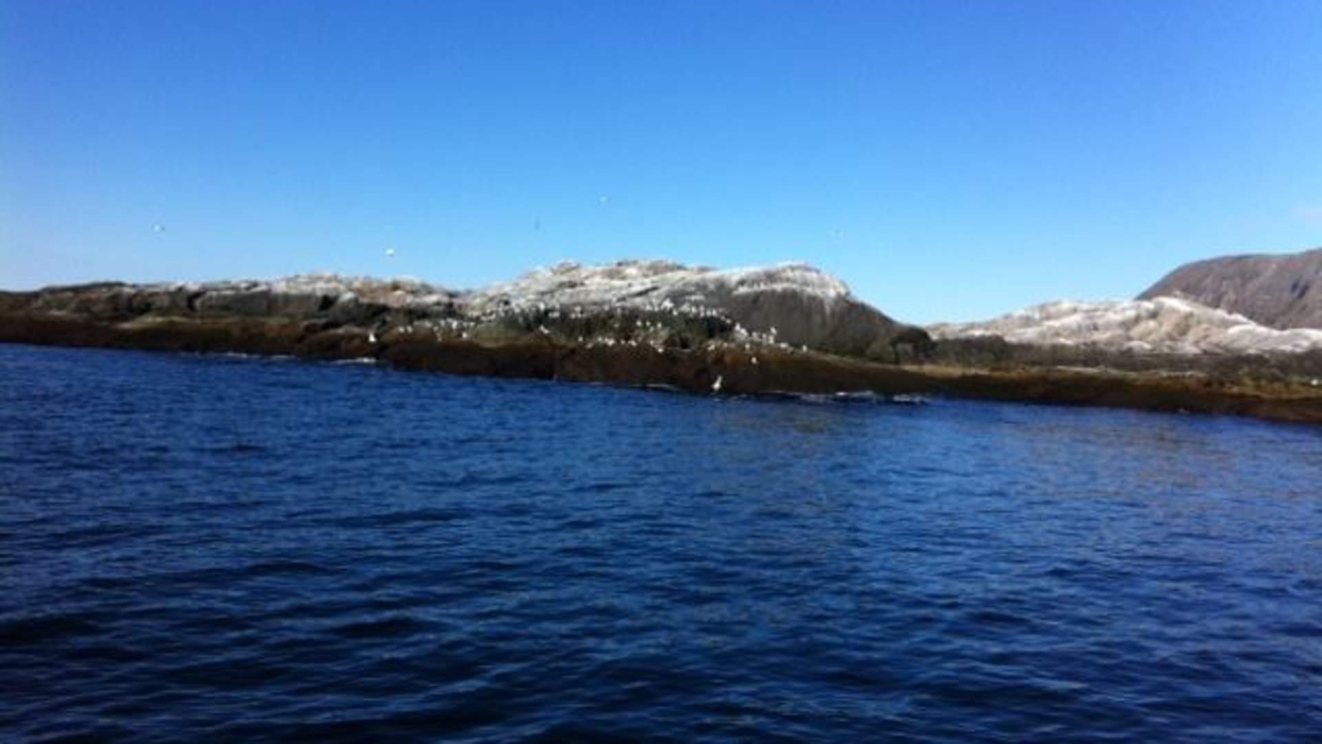 Experience North Cape by land and sea