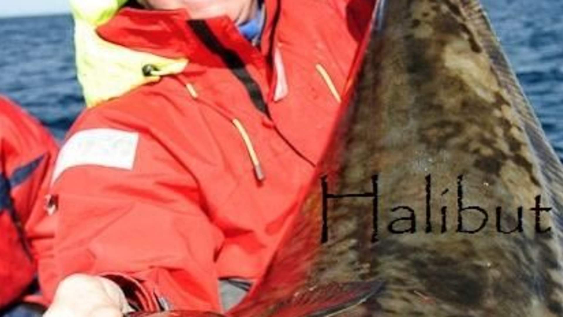 images[1]