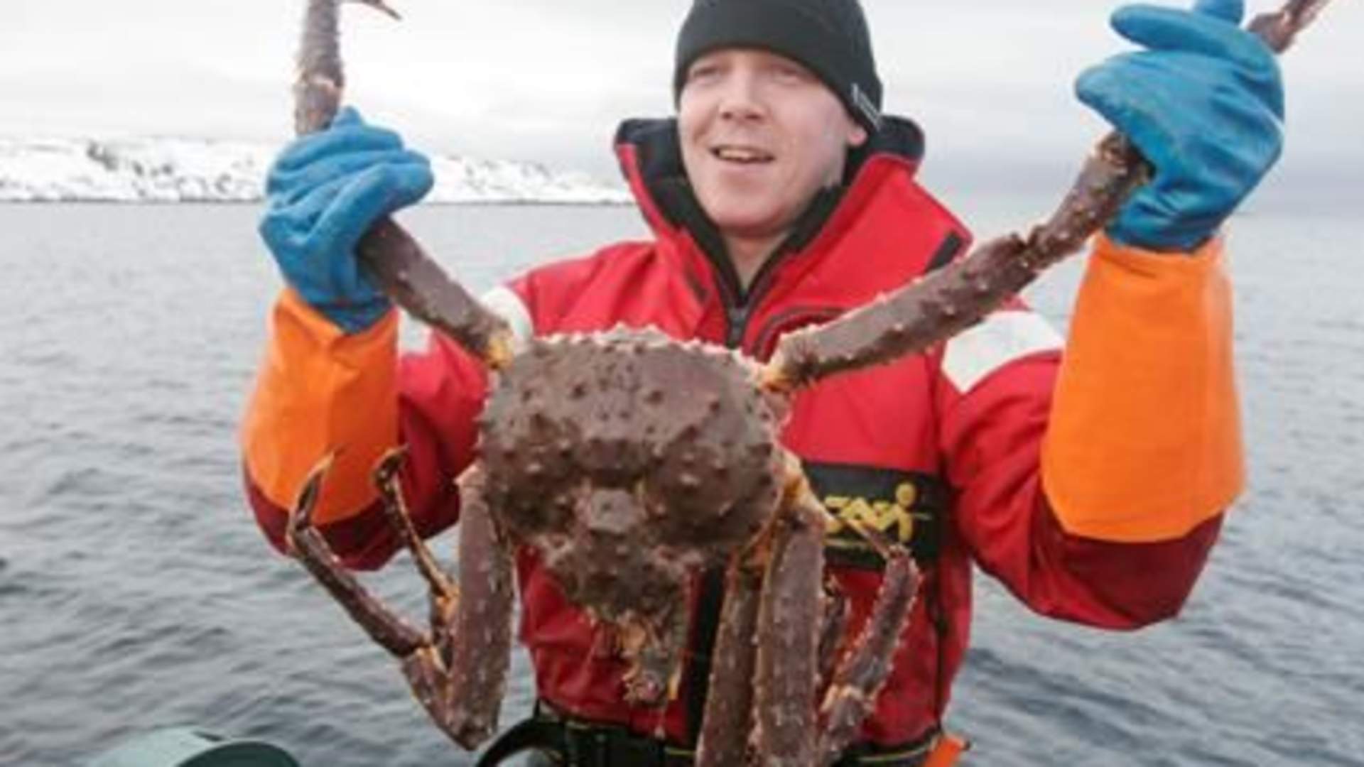 King crab fishing in winter and summer time- Nordic Safari