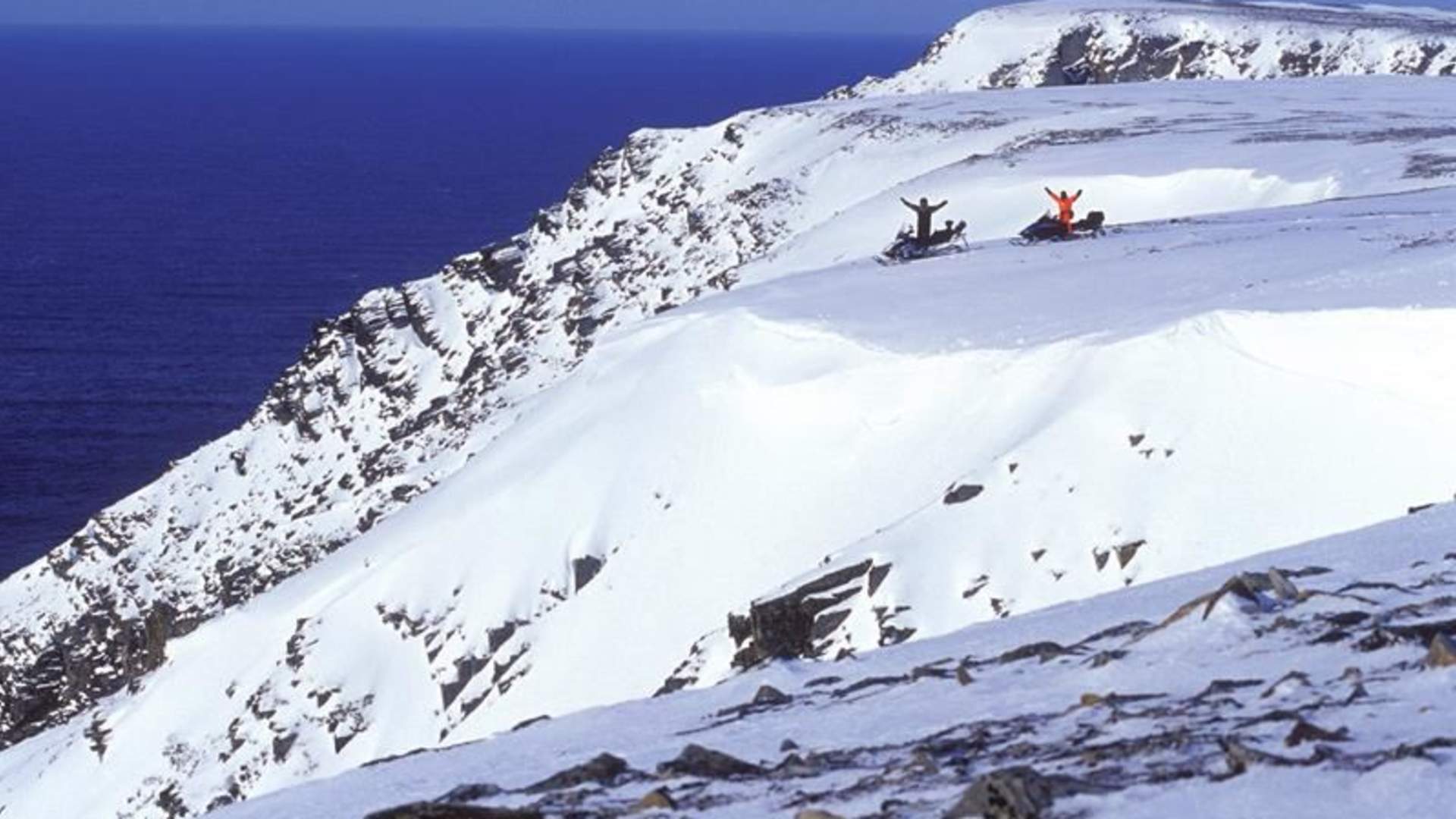 images[1]