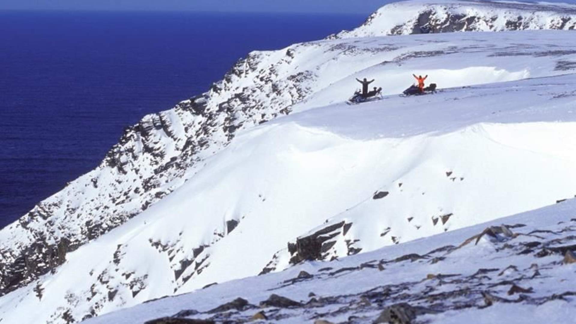 images[1]