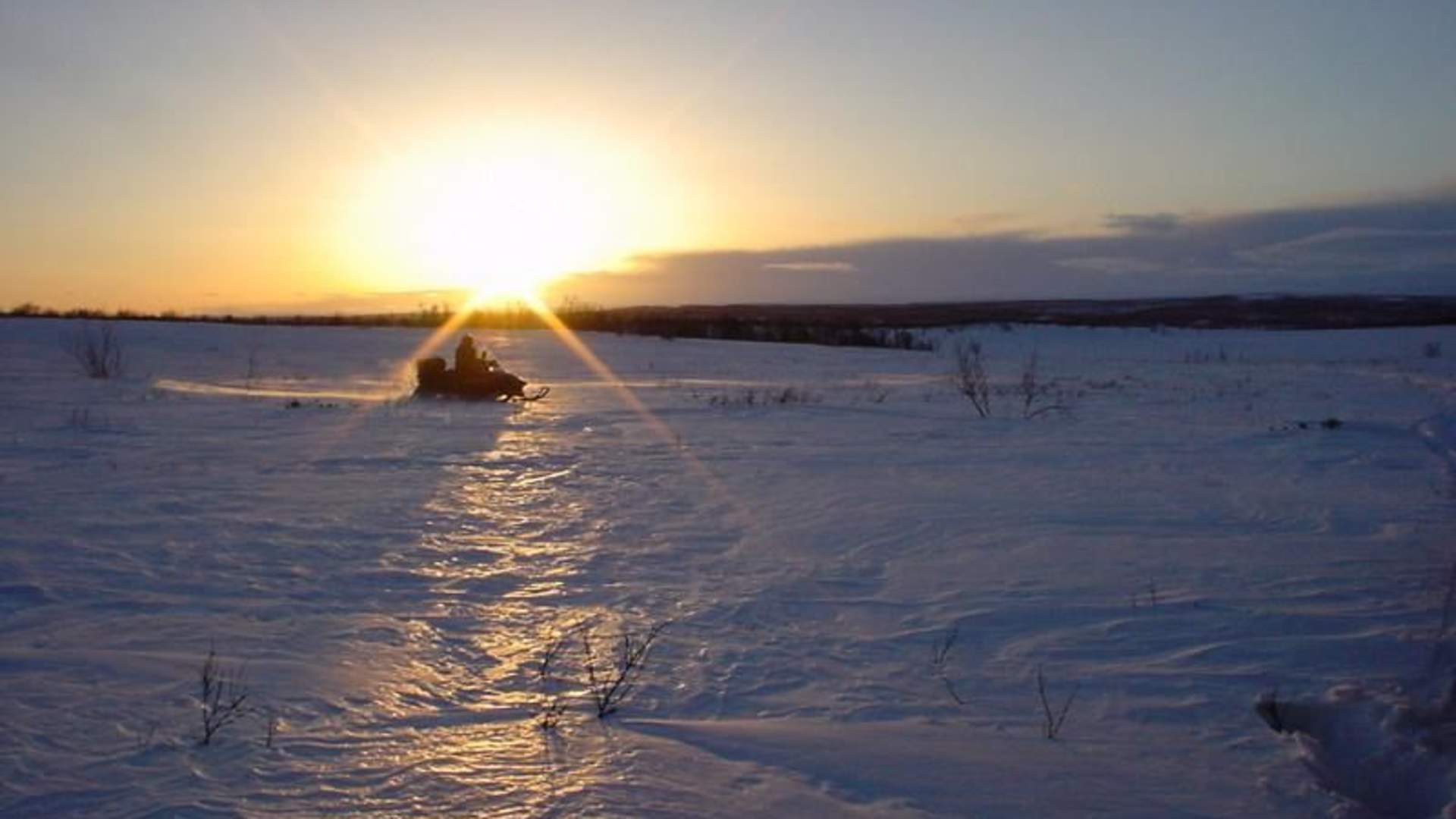 images[1]