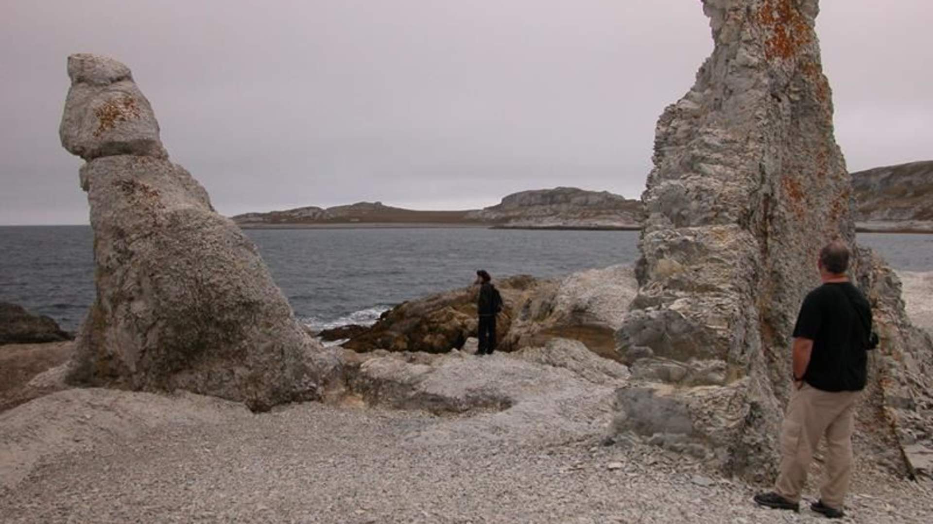 images[1]