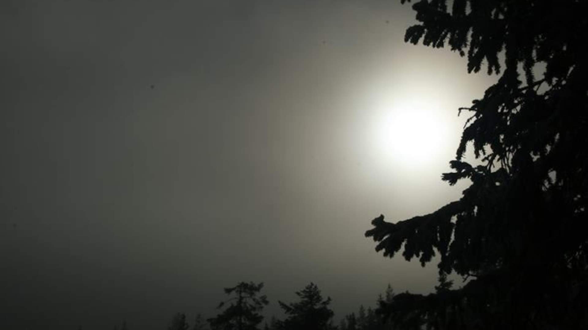 images[1]