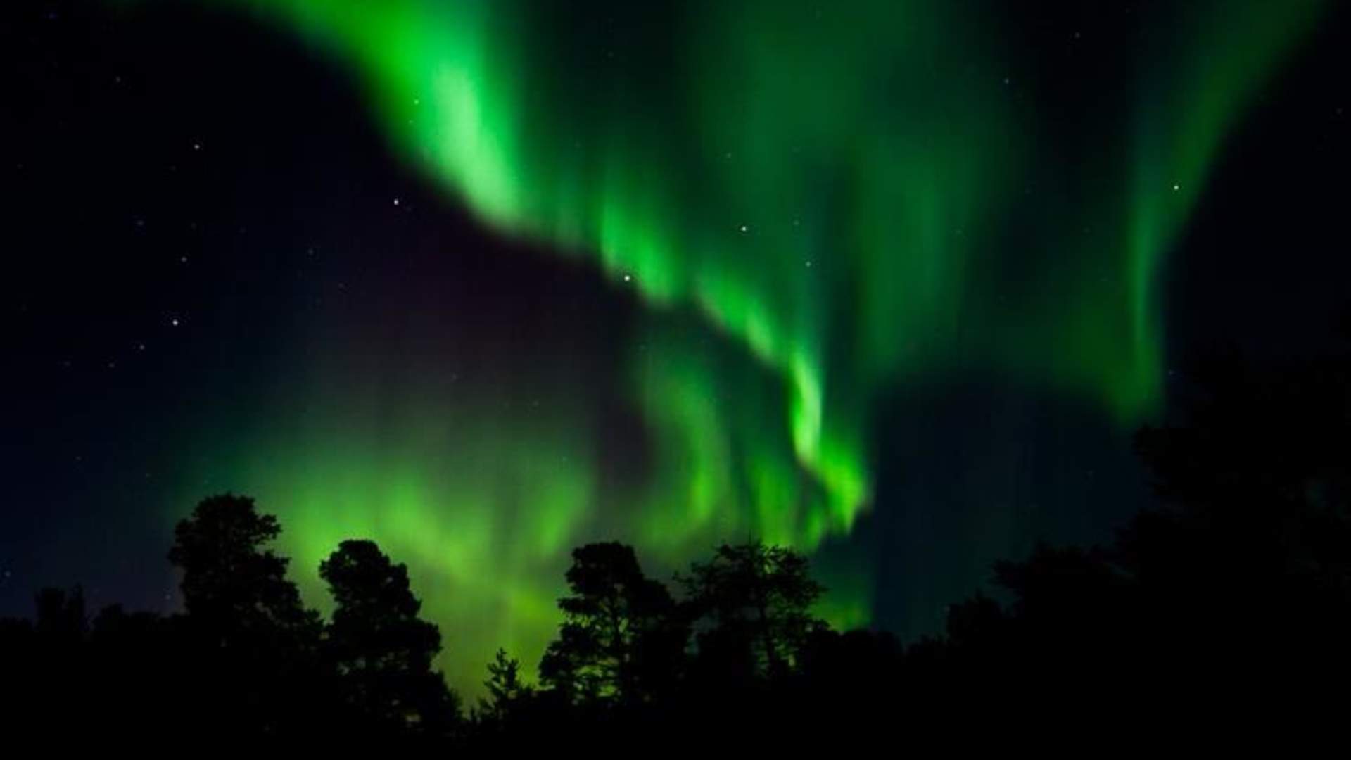 images[1]