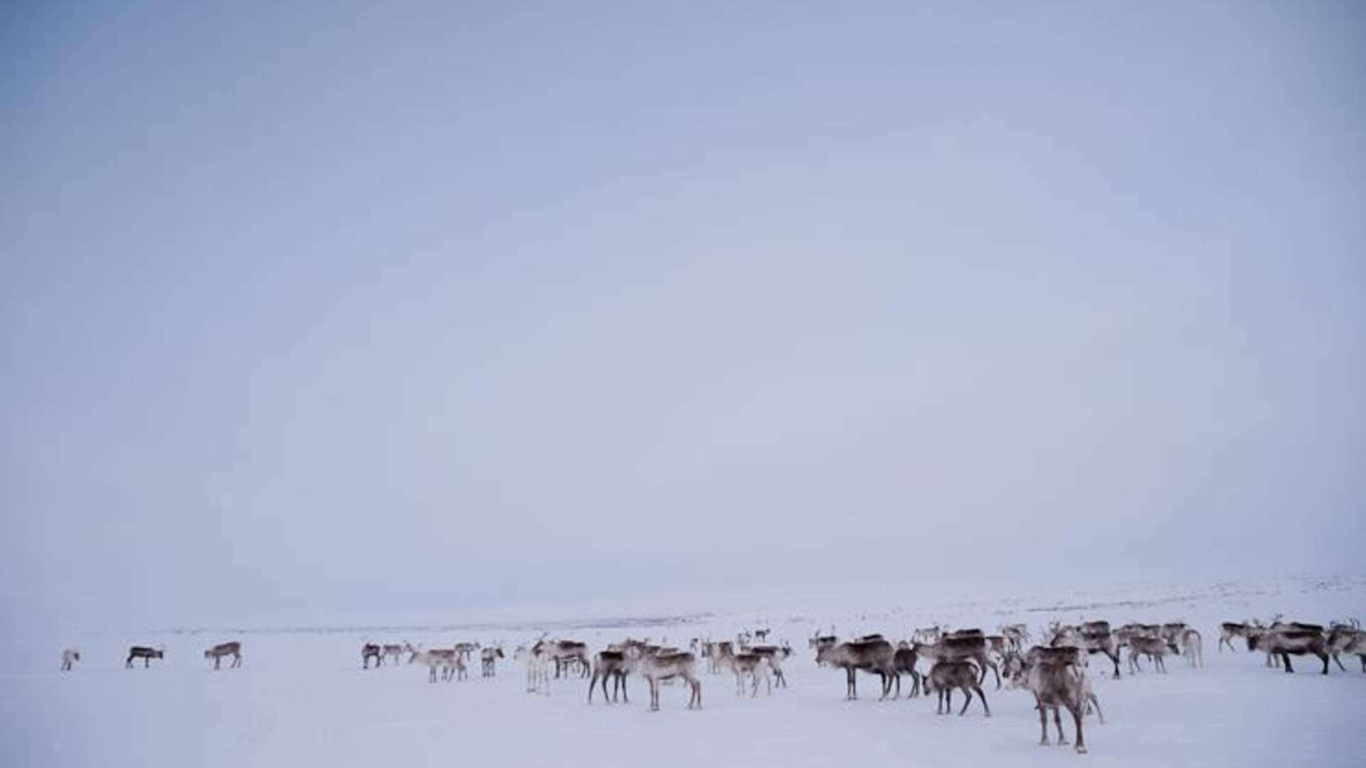 images[1]