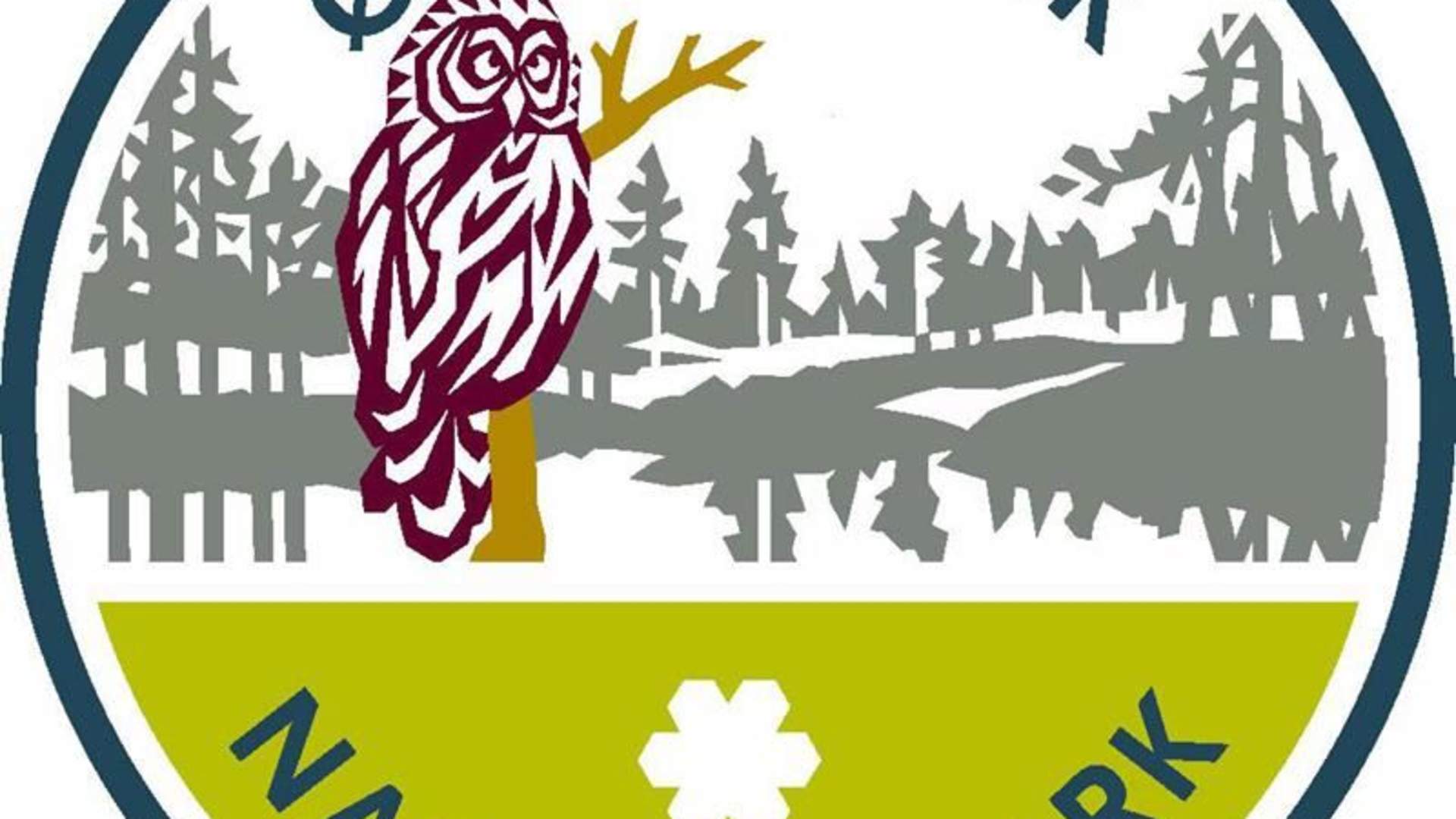 images[1]